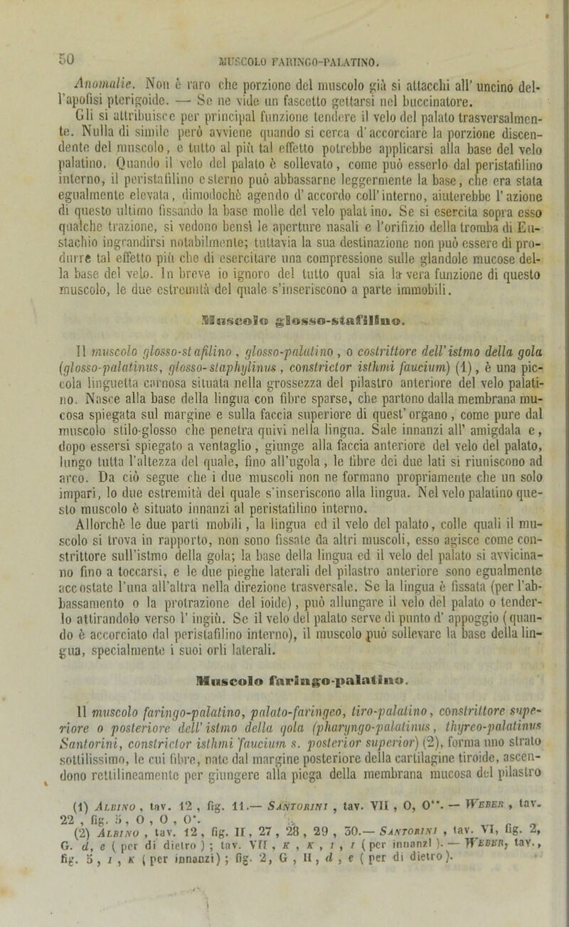 r.o MUSCOLO FAUINCO-PALATINO. Anomalie. Non e raro che porzione del muscolo gm si altacchi all’ uncino del- l’apofisi pterigoide. — Se ne vide un fascetto gettarsi nel bnccinatore. Gli si attribuiscc per principal funzione tendere il velo del palalo trasvcrsalmcn- te. Nulla di simile perö avviene quando si cerca d’accorciare la porzione discen- dentn de! muscolo, e lulto al piii tal cffetto potrebbe applicarsi alla base del velo Palatino. Quando il velo del palalo ö sollcvalo , come puö esserlo dal peristatilino interno, il peristalilino eStorno puö abbassarne lcggermenle la base, che era stata eguahnentc elevata, dimodochö agendo d’ accordo coli’interno, aiuterebbe l'azione di questo ultimo fissando la base molle del velo palat ino. Se si esercita sopra esso qualche trazione, si vedono bensi le aperture nasali c 1’oriflzio della tromba di Eu- stacbio ingrandirsi notabilmcnle; tuttavia la sua destinazione non puö essere di pro- dm re tal effetto piii che di esercitare una compressione sulle glandole mucose del- la base del velo. ln breve io ignoro del lulto quäl sia la vera funzione di questo muscolo, le due estremitä del quäle s’inseriscono a parle immobili. Maseolo gBasMO-sJRfllüu©. Il muscolo glosso-stafilino , glosso-palatino , o costrittore dell'istmo della gola (glosso-palatinus, glosso-slaphylinus , coiistriclor istlmi faucium) (1), e una pic- tola linguelta carnosa situata nella grossezza del pilastro anteriore del velo Palati- no. Nasce alla base della lingua con fibre sparse, che partono dalla membrana mu- cosa spiegata sul margine e sulla faccia superiore di quest’ organo, come pure dal muscolo stilo-glosso che penetra quivi nella lingua. Sale innanzi all’ amigdala e, dopo essersi spiegato a ventaglio , giunge alla faccia anteriore del velo del palato, lungo tutta l'altezza del quäle, fino all’ngola, le tibre dei due lati si riuniscono ad arco. Da ciö segne che i due muscoli non ne formano propriamenle che un solo impari, lo due estremitä del quäle s’inseriscono alla lingua. Nel velo palatino que- sto muscolo k situato innanzi al peristatilino interno. Allorchö le due parli mobili, la lingua cd il velo del palato, colle quali il mu- scolo si trova in rapporto, non sono fissate da altri muscoli, esso agisce come con- strittore sull’istmo della gola; la base della lingua cd il velo del palato si awicina- no fino a toccarsi, e le due pieghe laterali del pilastro anteriore sono egualmcnte accoslate l’una all’altra nella direzione trasversale. Sc la lingua e iissata (per l’ab- bassamento o la prolrazione del ioide), puö allungare il velo del palato o tendcr- lo attirandolo verso 1’ ingiü. Se il velo del palalo servc di punto d’ appoggio (quan- do ö accorciato dal perislafilino interno), il muscolo puö sollevarc la base della lin- gua, specialmente i suoi orli laterali. IMuscolo fnringo-palatin©. 11 muscolo faringo-palatino, palato-faringco, tiro-palatino, conslriltore supe~ riore o posteriore dell'istmo della gola (pharyngo-palalinus, thyreo-palatinvs Santorini, constrictor isthmi 'faucium s. posterior superior) (2), forma uno strato sottilissimo, le cui fibre, natc dal margine posteriore della cartilagine tiroidc, ascen- dono rettilineamentc per giungere alla piega della membrana mucosa del pilastro (1) Albino . tnv. 12 , fig. 11.— Santorini , tav. VII , 0, 0“. — IVebek , tav. 22 , fig. 5, 0 , O , 0*. „ (2) Albino , lav. 12, fig. II, 27 , 28 , 29 , 50.— Santorini , lav. VI, fig. 2, G. cl, e ( per di dielro ) ; tav. Vff, k , K , / , / (per innanzi )- — Tf'EOTfl, tay.,