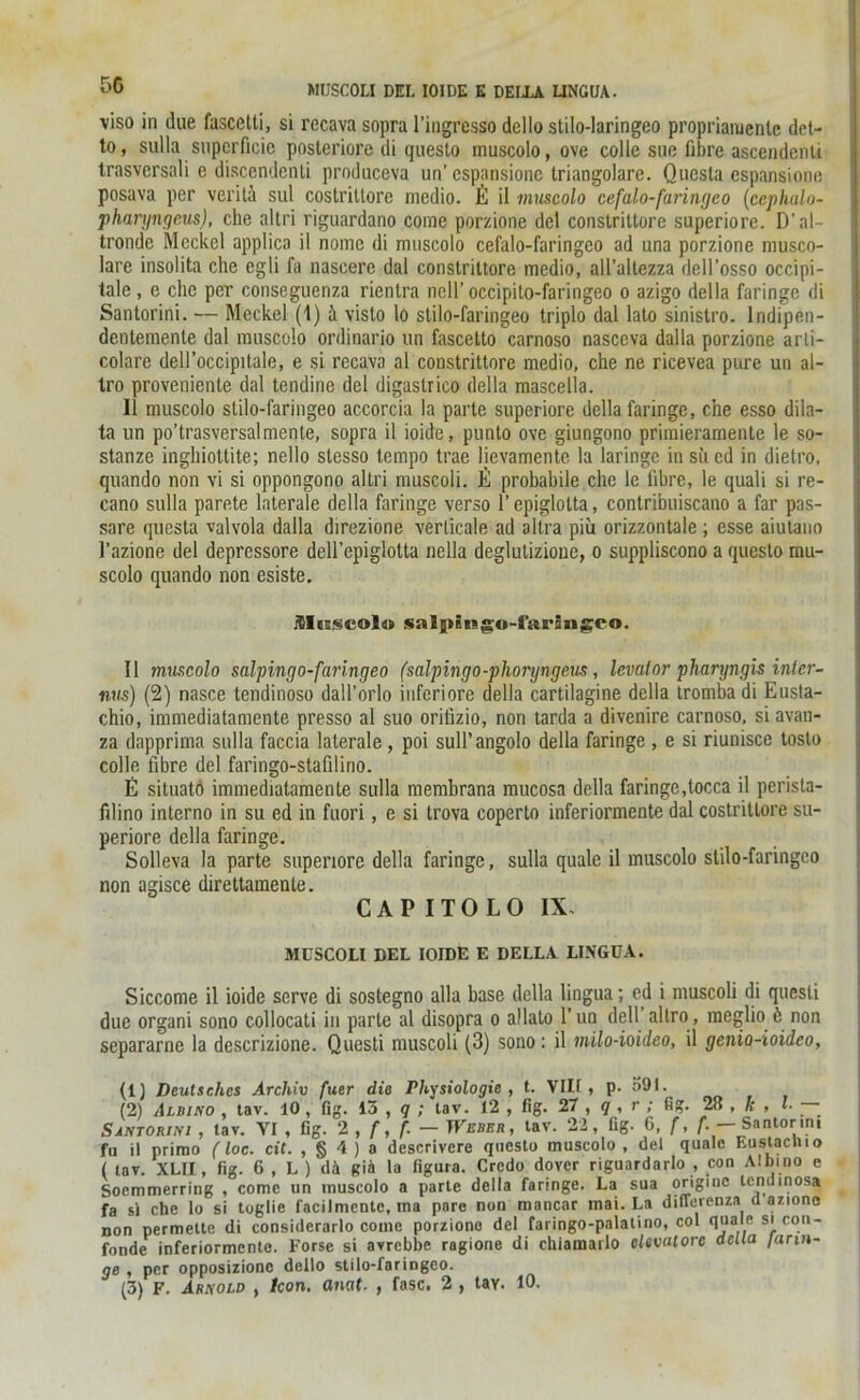 5G MUSCOLI DEL IOIDE E DEILA LINGUA. viso in due fascetti, si recava sopra l’ingresso dello stilo-laringeo propriaiuentc det- to, sulla superficic posteriore di queslo muscolo, ove colle sue fibre ascendcnli trasversali e discendenti produceva un’espansionc triangolare. Questa espansione posava per veritä sul costriltorc medio, E il muscolo cefalo-faringeo (cephalo- pharyngeus), che altri riguardano come porzione del constrittore superiore. D'al- tronde Meckel applica il nome di muscolo cefalo-faringeo ad una porzione musco- lare insolita che cgli fa nascere dal constrittore medio, all’altezza dell’osso occipi- tale , e che per conseguenza rientra nell’ occipito-faringeo o azigo della faringe di Santorini. — Meckel (1) h visto lo slilo-faringeo triplo dal lato sinistro. lndipen- dentemente dal muscolo ordinario un fascetto carnoso nasccva dalla porzione arti- colarc dell’occipitale, e si recava al constrittore medio, che ne ricevea pure un al- Iro provenienle dal tendine del digaslrico della mascella. 11 muscolo stilo-faringeo accorcia la parte superiore della faringe, che esso dila- ta un po’trasversalmente, sopra il ioide, punto ove giungono primieramente le so- stanze inghioltite; nello slesso tcmpo trae lievamente la laringe in su cd in dietro, quando non vi si oppongono altri muscoli. E probabile che le librc, le quali si re- cano sulla parete laterale della faringe verso l’epiglolta, contribuiscano a far pas- sare questa valvola dalla direzione verlicale ad altra piü orizzontale ; esse aiutauo l’azione del dcpressore dell’epiglotta nella deglutizione, o suppliscono a questo mu- scolo quando non esiste. Muscolo salpingo-iarängco. Il mmcolo salpingo-faringeo (salpingo-phoryngeus , Icvator pharyngis inter- nus) (2) nasce tendinoso dall’orlo inferiore della cartilagine della trombadi Eusta- chio, immediatamente presso al suo orifizio, non tarda a divenire carnoso, siavan- za dapprima sulla faccia laterale , poi sull’angolo della faringe , e si riunisce toslo colle fibre del faringo-stafilino. E situato immediatamente sulla memhrana mucosa della faringe,tocca il perista- filino interno in su ed in fuori, e si trova coperto inferiormente dal costritlore su- periore della faringe. Solleva la parte superiore della faringe, sulla quäle il muscolo slilo-faringeo non agisce direttamente. CAP ITO LO IX. MCSCOLI DEL IOIDE E DELLA LINGUA. Siccome il ioide serve di sostegno alla base della lingua; cd i muscoli di questi due organi sono collocati in parte al disopra o allato 1’ un dell’ altro, meglio 6 non separarne la dcscrizione. Questi muscoli (3) sono: il milo-ioideo, il genio-ioideo, (1) Deutsches Archiv fuer die Physiologie, t. VIII, p. »91. (2) Albino , tav. 10, fig. 15 , q ; tav. 12 , fig. 27 , q , r ; Gg. 28 , k , *• Santorini , tav. VI , fig. 2 , f, f- — Weber, tav. 22, fig. 6, f, f. — Santorini fu il primo (loc. cit. ,§4)a descrivere questo muscolo , del quäle Eustacluo ( tav. XLII, fig. 6 , L ) dÄ Ria la figura. Credo dover riguardarlo , con Albino e Socmmerring , come un muscolo a parte della faringe. La sua origine tcndinosa fa sl che lo si toglie facilmentc, ma pare non mancar mai. La differenza d aziono non permette di considerarlo come porzione del faringo-palatino, col GOaIe s'co.n* fonde inferiormente. Forse si avrebbe ragione di chiamarlo clevalore della /arm- ge , per opposizione dello stilo-faringeo.