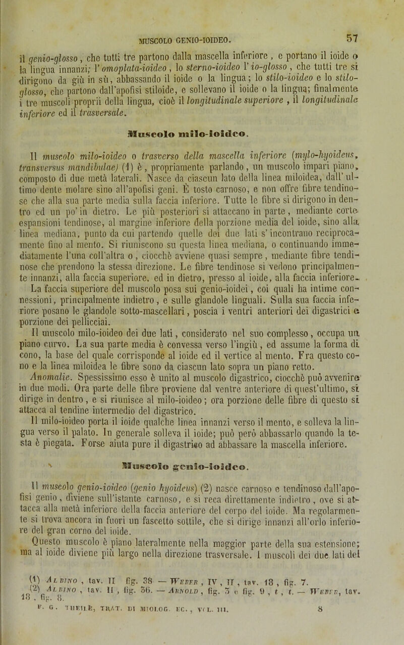 MUSCOLO GENIO-IOIDEO. 57 il genio-glosso, ehe tutti tre partono dalla mascella inferiore , e portano il ioide o la lingua innanzi,' 1 ’ omoplata-ioidco, lo sterno-ioideo 1 io-glosso , che tutti tre si dirigono da gifi in sü, abbassando il ioide o la lingua; lo stilo-ioideo e lo stilo- glosso, che partono dall’apofisi stiloide, e sollevano il ioide o la lingua; finalmente i tre muscoli proprii della lingua, cioö il longitudinale superiore , il longitudinale inferiore ed il trasversale. ültiscolo milo-ioideo. Il muscolo milo-ioideo o trasverso della mascella inferiore (mylo-liyoidens, transversus niandilndae) (1) ö, propriamente parlando, un muscolo impari piano, composto di due metö laterali. Nasce da ciascun lato della linea miloidea, dalf ul- timo dente molare sino aH’apofisi geni. ß tosto carnoso, e non offre fibre tendino- sc che alla sua parte media sulla faccia inferiore. Tutte le (ihre si dirigono in den- tro ed un po’ in dietro. Le piii posteriori si attaccano in parte, mediante corte espansioni tendinose, al margine inferiore della porzione media del ioide, sino alla, linea mediana, punto da cui partendo quelle doi due lall s’incontrano reciproca- mente fino al mento. Si riuniscono su questa linea mediana, o continuando imme- diatamente l’una eolTaltra o , ciocchö avviene quasi sempre , mediante fibre tendi- nose che prendono la stessa direzione. Le fibre tendinose si vedono principalmen- te innanzi, alla faccia superiore, ed in dietro, presso al ioide, alla faccia inferiore- La faccia superiore del muscolo posa sui genio-ioidei, coi quali ha intime con- nessioni, principalrnentc indietro, e sulle glandole linguali. Sulla sua faccia infe- riore posano le glandole sotto-mascellari, poscia i venlri antcriori dei digastrici e porzione dei pellicciai. 11 muscolo milo-ioideo dei due lati, considerato nel suo complesso, occupa un piano curvo. La sua parte media ö convessa verso Tingiü, ed assume la forma di. cono, la base del quäle corrisponde al ioide ed il vertice al mento. Fra questo co- no e la linea miloidea le fibre sono da ciascun lato sopra un piano retto. Anomalie. Spessissimo esso ö unito al muscolo digastrico, ciocchö puö aweniro in due modi. Ora parte dellc fibre proviene dal ventre anteriore di quest’ultiino, si dirige in dentro, e si riunisce al milo-ioideo; ora porzione delle fibre di questo si attacea al tendine intormedio del digastrico. Il milo-ioideo porta il ioide qualche linea innanzi verso il mento, e solleva la lin- gua verso il palato. ln generale solleva il ioide; puö perö abbassarlo quando la te- sta ö piegata. Forse aiuta pure il digastrico ad abbassare la mascella inferiore. v !tIin$colo genio-ioidco. Il muscolo genio-ioideo (genio hyoideus) (2) nasce carnoso c tendinoso dall’apo- fisi genio, dlviene sulfistante carnoso, e si reca direttamente indielro, ove si at- tacca alla roctä inferiore della faccia anteriore del corpo del ioide. Ma regolarmen- te si trova ancora in fuori un fascelto soltile, che si dirige innanzi all’orlo inferio- re del gran corno del ioide. Questo muscolo öpiano lateralmente nella maggior parte della sua estensione; ma al ioide diviene piü largo nella direzione trasversale. I muscoli dei due lati del (1) Albino (2) Albino . 18 . Cv- «. tav. II fig. 38 — Wan fr , IV . tav. II , lig-. 5(j. —Arnold, fig. II , tav. 18 , fig. 7. 5 u fig. 9 , t, t. — Webfb, tav.