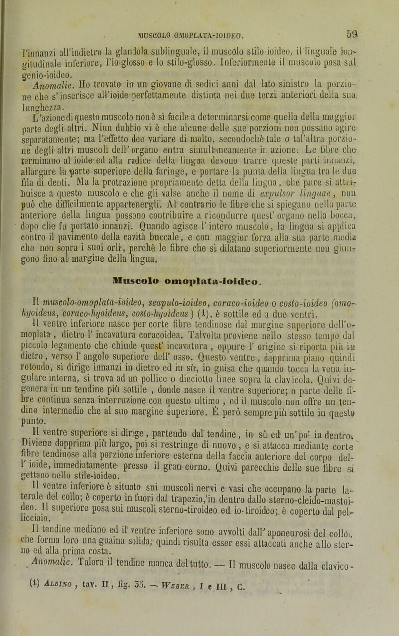 l’innanzi all’indietro ia glandola sublinguale, il museolo stilo-ioideo, il linguale ion- gitudinale inferiore, l’io-glosso e lo stilo-glosso. Inforiormenle il museolo posa sul genio-ioideo. Anomalie. Ho trovato in un giovane di sedici anni dal lato sinistro la porzio- ne ehe s’inserisce all’ioide perfettameute distinta nei due terzi anleriori della sua lunghezza. L’azionediqueslomuseolo nonö si fucile a determinarsi come quella della maggior parte degli altri. Niun dubbio vi b che alcune delle sue porzioni non possano agire separatamente; nia l’efletto dee variare di molto, secondochü talc o tal’altra porzio- ne degli altri museoli dell’organo enlra simultnneamente in azione: Le fibre che terminano al ioide ed alla radice della lingua devono trarre queste parti iuuanzi, allargare la parte superiore della faringe, e portare la punta della lingua tra le due fila di denti. Ma la protrazione propriamente delta della lingua, che pure si altriv huisce a questo museolo e che gli valse anclie il nome di expulsor Linguae, non puö che difiicilmente appartenergli. Al contrario le fibre che si spiegano nella parte anteriore della lingua possono contribuire a ricoudurre quest’ organo nella boeca, dopo che fu portato innanzi. Quandö agisce l'intero museolo, la lingua si applica conlro il pavimenlo della eavita buecale, e con maggior l'orza alla sua parte media che non sopra i suoi orli, pcrchö le fibre che si dilatano superiormenle non giunr gono fino al margine della lingua. IIIiiücoIo omoirlnta-loidco. Il museolo-omoplata-ioideo, scapulo-ioideo, coraco-ioideo 0 costo-ioideo (omo- hyoideus, coraco-hyoideus, costo-kyoideus) (1), b sottile ed a due ventri. 11 venire inferiore nasce per corte fibre tendinose dal margine superiore dcll’o- moplata , dietro 1’ incavatura coracoidea. Talvolta proviene nello slesso tempo dal piccolo legamento che chiude quest’ ineavalura , oppure 1’ origine si riporta piii iu dietro, verso 1’ angolo superiore dell’ osso. Questo venire, dapprima piano quiridi rolondo, si dirige innanzi in dietro ed iu sit-, in guisa che quando toeea la vena iu- gulare interna, si trova adun pollice o dieciotlo linee sopra la clavicola. Quivi de- genera in un tendine piü sottile , doude nasce il ventre superiore; o parle delle fi- bre continua senza interruzione con questo ultimo , cd il museolo non offre un ten- dine intermedio che al suo margine superiore. lil perö sempre piü sottile in questo punto. 11 ventre superiore si dirige, partendo dal tendine, in sü ed un’po- in dentro, Divienc dapprima piü largo, poi si restringe di nuovo , e si attaeca medianle corte fibre tendinose alla porzione inferiore esterna della faccia anteriore del corpo del- 1 ioide, immediatamente presso il gran corno. Quivi parecchie delle sue fibre si gettano nello sttlerioideo. 11 ventre inferiore b situato sui museoli nervi e vasi che occupano la parle la- terale del collo; fc coperto in luori dal lrapezio,'in dcnlro dallo slerno-cleido-mastoi- ueo. 11 superiore posa sui museoli sterno-tiroideo ed io- tiroideo; b coperto dal neb hcciaio. r 1 Il tendine uiediano eil il ventre inferiore sono avvolti dalT aponeurosi del collo., che forma loro una guaina solida; quindi risulta esser essi altaccati anche allo Stor- no ed alla prima costa. Anomalie. Talora il tendine manca deltutto. — Il museolo nasce dalla elavico- W ÄLDIM > tav. n, lig. 5Ü. - Weber , I t III , C.