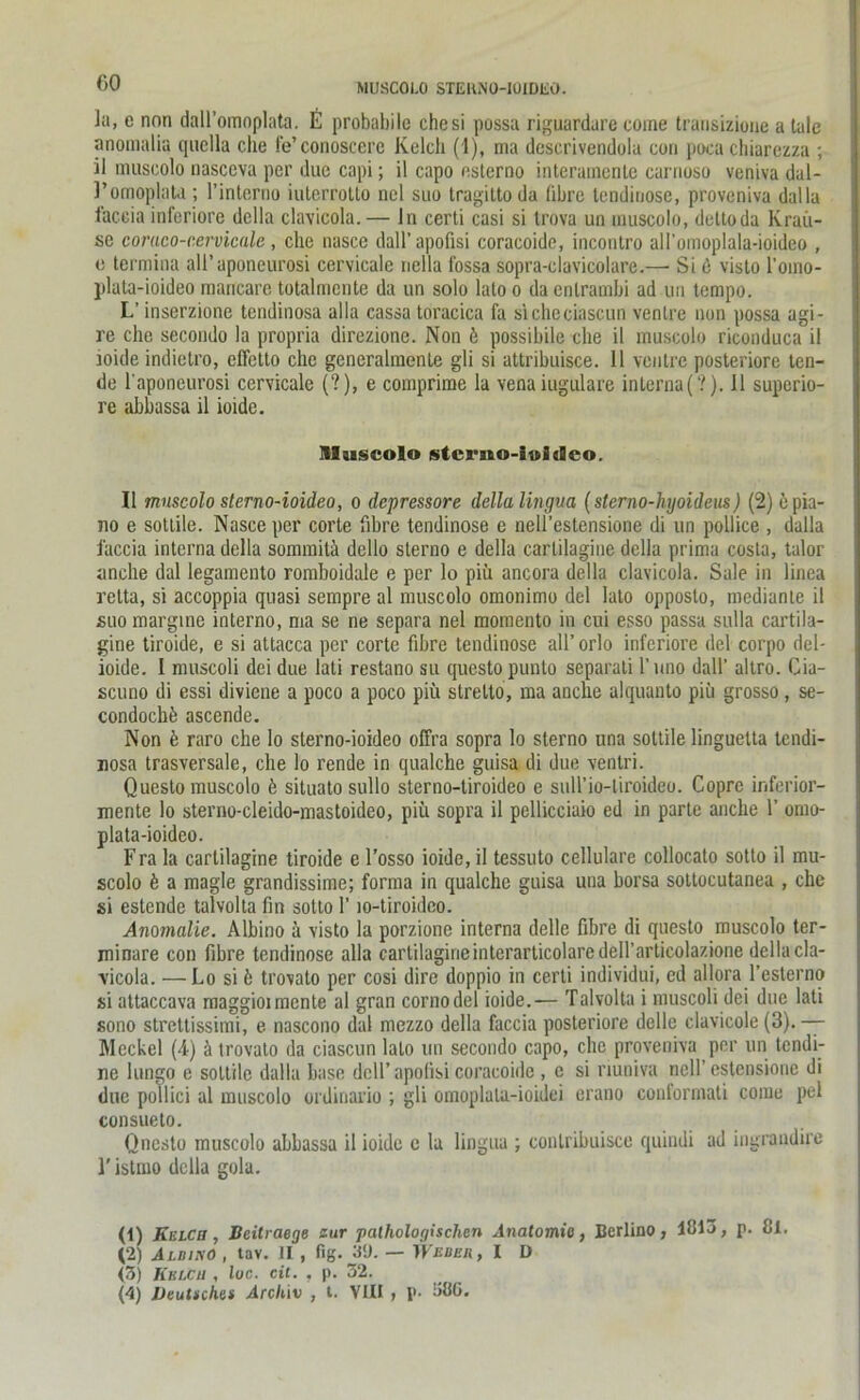 ]>•» e non dall’omoplata. E probabile che si possa riguardare come transizione a tule anomalia quella che fe’conoscere Kelch (1), ma descrivendolu con poca chiarezza ; il muscolo nasceva per due capi; il capo esterno interaincntc carnoso veniva dal- l’omoplata; l’interno iulerrollo nel suu tragiltoda (ihre tendinosc, proveniva dalla faccia inferiore della clavicola.— ln certi casi si Irova un muscolo, dettoda Krau- se coraco-cervicale, che nasce dall’apofisi coracoide, incontro all'oinoplala-ioideo , e termina all’aponeurosi cervicale nella fossa sopra-clavicolare.—- Si 6 visto l’oino- plata-ioideo raancare totalmente da un solo lato o da enlrambi ad un tempo. L’ inserzione tendinosa alla cassa toracica fa sicheciascun ventre non possa agi- re che secondo la propria direzione. Non ö possibile che il muscolo riconduca il ioide indietro, efletto che generalmente gli si attribuisce. 11 ventre posteriore ten- de l’aponeurosi cervicale (?), e comprime la venaiugulare interna(?). Il superio- re abbassa il ioide. Muscolo stcrno-ioitleo. Il muscolo sterno-ioideo, o depressore della lingua (sterno-hyoidens) (2) e pia- no e sottile. Nasce per corte fibre tendinose e neli’estensione di un pollice , dalla faccia interna della sommitä dello sterno e della cartilagine della prima costa, talor anche dal legamcnto romboidale e per lo piii ancora della clavicola. Sale in linea retta, si accoppia quasi sempre al muscolo omonimo del lato opposto, medianie il suo margine interno, ma se ne separa nel momento in cui esso passa sulla cartila- gine tiroide, e si attacca per corte fibre tendinose all’orlo inferiore del corpo del- ioide. I muscoli deidue lali restano su questopunto separati l’uno dall' altro. Cia- scuno di essi diviene a poco a poco piü strelto, ma anche alquanto piü grosso, se- condochfe ascende. Non k raro che lo sterno-ioideo offra sopra lo sterno una sottile linguetta tendi- nosa trasversale, che lo rende in qualche guisa di due ventri. Questo muscolo 6 situato sullo sterno-tiroideo e suU’io-liroideo. Coprc inferior- mente lo sterno-cleido-mastoideo, piii sopra il pellicciaio ed in parte anche 1’ omo- plata-ioideo. Fra la cartilagine tiroide e l’osso ioide, il tessuto cellulare collocato sotto il mu- scolo ö a magle grandissime; forma in qualche guisa una borsa sottocutanea , che si estende talvolta fin sotto 1’ 10-tiroideo. Anomalie. Albino ä visto la porzione interna delle fibre di questo muscolo ter- minare con fibre tendinose alla cartilagineinterarticolaredeH’articolazione della cla- vicola. — Lo si b trovato per cosi dire doppio in certi individui, ed allora l’esterno si attaccava maggioimente al gran cornodel ioide.— Talvolta i muscoli dei due lati sono strettissimi, e nascono dal mezzo della faccia posteriore delle clavicole (3). — Meckel (4) ä trovato da ciascun lato un secondo capo, che proveniva per un tendi- ne lungo e sottile dalla base dcU’apofisi coracoide , e si nuniva ncll’ cstensione di due pollici al muscolo ordinario ; gli omoplala-ioidei erano conformati come pel consueto. Onesto muscolo abbassa il ioide c la lingua ; conlribuisce quindi ad ingrandire 1' istmo della gola. (1) Kelcb , Deitraege sur pathologischen Anatomie, Berlino, 1813, p. 81. (2) Albino , tav. JI , fig. 39. — Weder, I D (3) Kelch , luc. cit. , p. 32. {4) Deutsches Archiv , t. VIII , I»- 880.