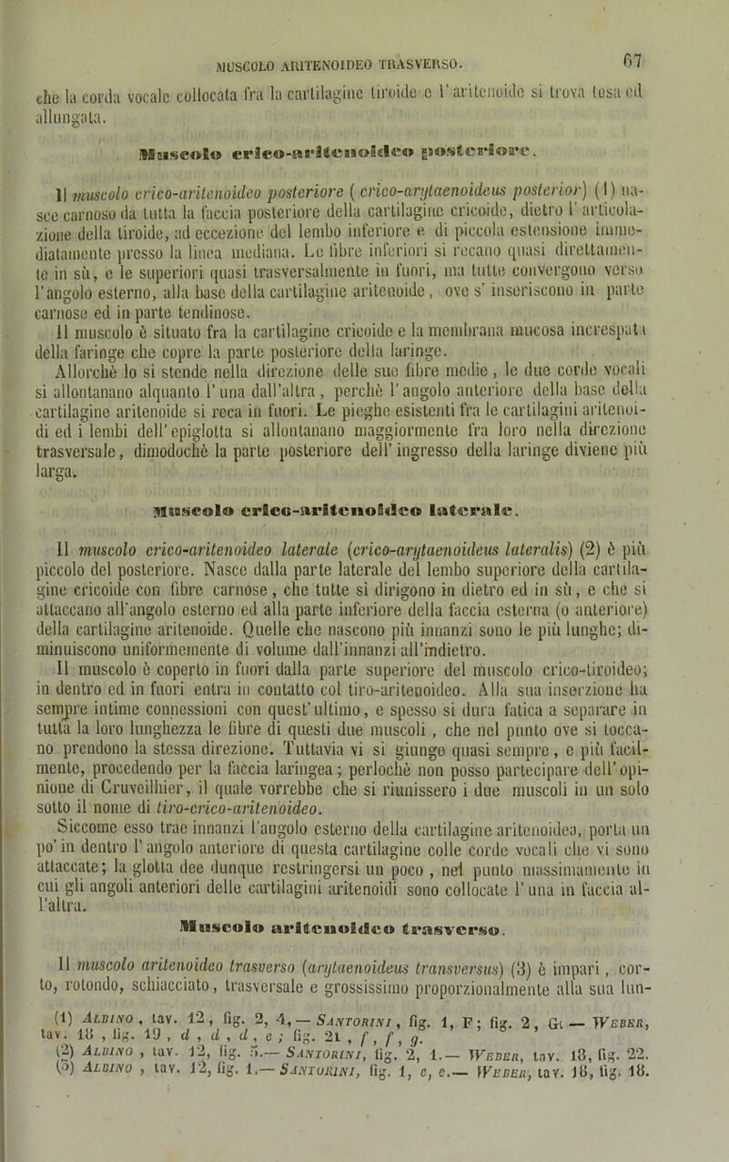 MUSCOLO AlUTENOIDEO TRASVERSO. ß7 che la corda voealc collocata fra la cartilagine liroide c L aritenoide si trova losa cd allungata. !95aisc»Et» crSco-ssrHeaäoäde« ESOsEescäort*. II muscolo erico-aritehoideo posteriore ( cnco-arijlaenoideus posterior) (I) na- see carnosoda tutta la faccia posteriore della cartilagine cricoide, dictro l' arliuola- zione della liroide, ad eccezione del lembo inferiore e di piccola esteivsione immo- diatainente jircsso la linca mediana. Le iibre inferiori si recano quasi direttaiuen- te in sii, e le superiori quasi trasversalinenle in fuori, ma lulle convergouo verso l’angolo esterno, alla base della cartilagine aritenoide, ovo s’ inseriscono in parle carnose ed in parte tendinose. 11 muscolo ö situato fra la cartilagine cricoide e la membrana nutcosa increspat i della faringe che coprc la parle posteriore della laringc. Allorcbb lo si stende nclla dirczione dellc suo fibre medie , le due corde vocali si allontanano alquanlo l’una dall’altra , pcrclib l’angolo anteriore della base della cartilagine aritenoide si reca in fuori. Le pieghe esistenti fra le carlilagini arilenoi- di ed i lembi dell’ epiglotta si allontanano maggiormenle fra loro nella dirczione trasversale, dimodochö la parle posteriore dell’ingresso della laringe divienc piii larga. Mnseolo crScu-nritcnoSdco laterale. II muscolo crico-aritenoideo laterale (crieo-anjtaenoideus lateralis) (2) 6 piii piccolo del posteriore. Nascc dalla parte laterale del lembo superiore della cartila- gine cricoide con fibre carnose, che tutte si dirigono in dietro ed in sii, e che si atlaccano all’angolo esterno ed alla parte inferiore della faccia esterna (o anteriore) della cartilagine aritenoide. Quelle che nascono piii innanzi sono le piii lunghe; di- minuiscono uniformemente di volume dall’innanzi aH’rndietro. II muscolo ö coperlo in fuori dalla parle superiore del muscolo crico-liroideo; in dentro ed in fuori entra in contatto col tiro-ariteuoideo. Alla sua inserzione ha sempre intime connessioni con quest’ultimo, e spesso si dura fatica a separare in tutta la loro lunghezza le libre di quesli due muscoli , che nel punto ove si tocca- no prendono la stessa direzione. Tuttavia vi si giungo quasi sempre, c piii faeil- mente, proccdendo per la faccia laringea; perloche non posso partecipare dcll’opi- nione di Cruveilhier, il quäle vorrebbe che si riunissero i due muscoli in un solo sotto il nome di tiro-crico-aritenoideo. Siccome esso trae innanzi l’angolo esterno della cartilagine aritenoidea, porla un po’in dentro l’angolo anteriore di questa cartilagine colle corde vocali che vi sono attaccate; la glotta dee dunque restringersi un poco , nel punto niassimamenle in cui gli angoli anteriori delle cartilagini aritenoidi sono collocate 1’ una in faccia al- l’altra. lluücolu lU'itcnuitSco 4rasvcrs«. 11 muscolo arilenoideo trasverso (arytaenoideus transversus) (3) 6 impari, cor- to, rolondo, schiaceiato, trasversale e grossissimo proporzionalmente alla sua lun- (t) Aldixo , tav. 12, fig. 2, 4, — Santorini , fig. 1, p- fig. 2, Gi — TKebkü, tav. 115 , lig. 19 , d, d, d, e ; fig. 21 )2) Aluis/q , uv. 12, lig. Santorini, lig. 2, 1.— TVkbe«, tav. 18, fig. 22.