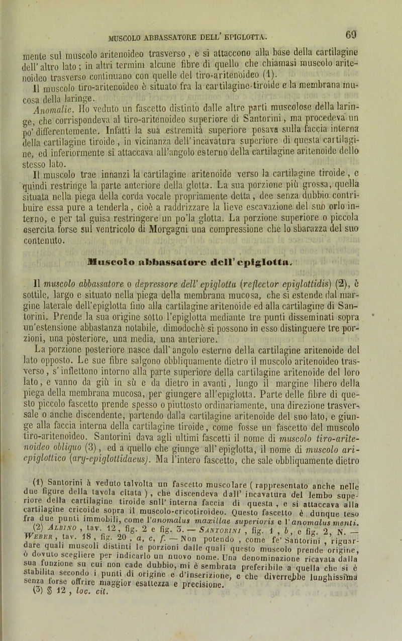 MUSCOLO ABBASSATORE DELL’ EPIGLOTTA. mente sul muscolo aritenoideo trasverso , e si altaccono alla base della cartilagine dell’ altro lato; in altri terniirn alcune fibre di quello che chiamasi muscolo arite- noideo trasverso continuano con quelle del tiro-aritenoideo (1). 11 nniscolo tiro-aritenoideo 6 situato fra la cartilagine-tiroide e la membrana mu- cosa della laringe. „ , . , , „ , . Anomalie. Ho veduto un fascetto drstinto dalle allre parti muscolose della larin- e, che corrispondeva al tiro-aritenoideo superiore di Santorini, ma procedeva un po’ dilferenteinente. Infatti la sua estremitä superiore posava sulla faccia interna della cartilagine tiroide , in vicinanza dell’incavalura superiore di quesla cartilagi- ne, cd inferiormente si attaccava all’angolo esterno della cartilagine aritenoide dcllo stesso lato. II muscolo trae innanzi la cartilagine aritenoide verso la cartilagine tiroide , c quindi restringe la parte anteriore della glotta. La sua porzionc piit grossa, quclla situala nella piega della corda vocale propriamente delta, dee senza dubbio contri- buire essa pure a tenderla, cioö a raddrizzare la lievc escavazione del suo orlo in- terno, e per tal guisa restringere un po’la glotta. La porzione superiore o piccola esercila forse sul ventricolo di Morgagni una compressione che lo sbarazza del suo contenuto. 11 muscolo abbassatore o depressore dell' epiglottu (rcßecior epiglottidis) (2), b soltile, largo e situato nella piega della membrana mucosa, che si estende dal mar- gine laterale deH’epiglotta fmo alla cartilagine aritenoide ed alla cartilagine di Sari- torini. Prende la sua origine sotto l’epiglotta mediante tre punti disseminati sopra un'estensione abbastanza nolabile, dimodoehe si possono in csso distinguere tre por- zioni, una posteriore, una media, una anteriore. La porzione posteriore nasce dall’angolo esterno della cartilagine aritenoide del lato opposto. Le sue fibre salgono obbliquamente dietro il muscolo aritenoideo tras- verso, s’ inflettono intorno alla parte superiore della cartilagine aritenoide del loro lato, e vanno da gilt in sü e da dietro in avanti, lungo il margine libero della piega della membrana mucosa, per giungere all’epiglotta. Parte delle fibre di que- sto piccolo fascetto prende spesso o piuttosto ordinariamente, una direzione trasver- salc o anche discendente, partendo dalla cartilagine aritenoide del suo lato, e giun- ge alla faccia interna della cartilagine tiroide, come fosse un fascetto del muscolo tiro-aritenoideo. Santorini dava agli ultimi fascetti il nome di muscolo tiro-arite- noideo obliquo (3), ed a quello che giunge all’ epiglotta, il nome di muscolo ari- epiglottico (ury-epiglottidaeus). Ma l’intero fascetto, che sale obbliquamente dietro (1) Santorini ä veduto talvolta un fascetto muscolare ( rannresentatn nncho noti,. Muscolo nlibassntorc dell’ cplglotin. (3) § 12 , lov. eit.