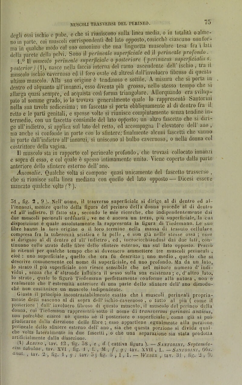 MUSCOLI TRASVERSI DEL TERINEO. 10 (]t,o'li ossi ischio e pube, c ehe si riuniscono sulla lineu media, o in totulit.i oalmc- n0°in pafte, coi niuscoli corrispondenli dcl lato opposto, cosicch6 ciascuno non for- ma in qualche modo col sno omonimo che una linguella musoolare tesa fra 1 lati della parete della pelvi. Sono il perineale superficiale ed il perineale profondo. I 0 11 muscolo perineale superficiale o posteriore (perinaeus superficialis s. posterior) (1), nasce nella faccia interna del ramo ascendenle dell’ ischio , tra il mnscolo ischio cuvernoso cd il foro ovale ed altresi dall’involucro libroso di questo ultimo muscolo. Alla sua origine 6 tendinoso e sottile. A misura che si porla in dentro ed alquanto all’innanzi, esso diventa piü grosso, nello stesso tempo che si allarga quasi sempre, ed acquisla cosl forma triangolarc. Allorquando era svilnp- palo al somme grado, io lo trovava generalmente quäle lo rappresenlö Santorini nella sua tavola sedicesiraa; un fascctto si porta obbliquamente al di dentro fra il rello e le parti genilali, c spesse volte si riunisce compiutamente senza tendine in- termedio, con un fascetto consimile dcl lato opposto; un altro fascelto che si diri- gc all’indietro, si applica sul lato dcl retlo, ed accompagna 1’ elevatore dell ano , ma anche si confonde in parte con lo sfintere; finalmente alcuni lascetti che vauno in parte dall’indietro all’ innanzi, si unisedno al bulbo cavernoso, o nella donna col costrittore della vagina. II muscolo sta in rapporto col perineale profondo, che trovasi collocato innanzi c sopra di esso, e col quäle ö spesso intimamente unito. Viene coperto dalla parte anteriore dello sfintere esterno dell’ano. Anomalie. Qualche volta si compone quasi unicamente del fascetto trasverso , che si riunisce sulla linea mediana con quello del lato opposto—Dicesi essere mancato qualche volta (?). 31 , fig. 2 , 9 ). Nell’ uomo, il trasverso superficiale si dirige al di dentro ed al- I’innanzi, tnenlre quello della figura del perineo della donna piorcde al di dentro ed all’ indietro. II falto sta, secondo le mie ricerche, che indipendenleineirte dai due niuscoli perineali ordmarii , ve ne 6 aueora un terzo, piii superficiale, la cui disposizione e quäle assoluiaiuente la rappresenta la figura di Tiedemanu. Le sue fibre hanno la loro origine o il loro terntine nella massa di tessulo cellulare comprcsa fra la luberosiih sciatiea e la peile , e nun gia nelle stesse ossa ; esse si dirigono al di dentro ed all’indietro , cd, inerocicchiandosi dai due lati,con- tinuano collo strato delle fibre dello sfintere esterno, ma sul lato opposto. l’ercid io ritenni per qualche tempo che si dovessero amrneltere tre niuscoli perineali , cioe : uno superficiale , quello che ora fu descrillo ; uno medio , quc'.lo che si dcscrive comuncmente col niimc di superficiale, ed uno profondo. (Via da un lato, lo strato il piü superficiale non riesce sensibile che nel minore nuinero d’ indi- vidui , senza che d’altronde influisca il sesso sulla sua esistenza ; e, d’ altro lato, lo strato, quäle lo figurö Tiedemanu perfcttamente conforine alla natura , non e realmeiitc che 1’estremita anteriore di una parte dello sfintere dell’ano dirnodo- che non costituisce un muscolo indipendente. Giusta il principio incontrastabilmentc esatlo che i inuscoli perineali propria- lncnle detti nascono al di sopra dell’ischio-cavernoso , o tutlo al piii ( coine il posteriore) dall’involucro (ibroso di questo muscolo, il muscolo del perineo della donna, cui Tiedemaun rappresenlö sotto il noine di transversus purinaei anlicus, non potrebbe essere ne questo ne il posteriore o superficiale , come gia si puö giudicarne dalla direzione delle fibre ; esso appartiene egualrnentc alla purziunu perineale dello sfintere esterno dell’ ano, sia che questa porzione si divida qual- che volta lateralmente in due faseetti, o che una separazione sia stata prodotla artificialmente dalla dissezione. (1) Alviso , tav. J2, lig. 38 , e , d ( caltiva figura ). — S.intorini, Septemde- eim labulae , tav. XVI , fig. 1 , L , M , f, g ; tav. XVII , L. — Santorinj, Obs.