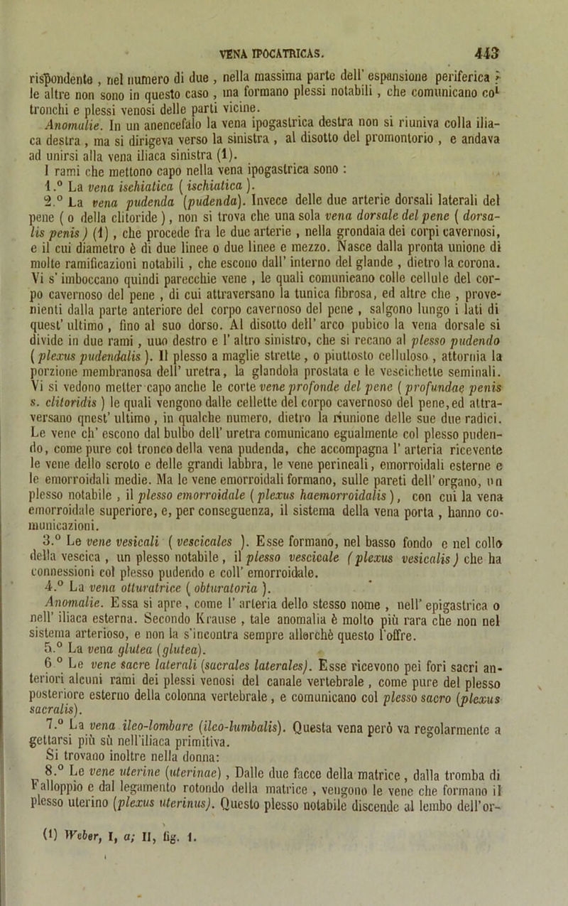 VENA IPOCATRICAS. U3 rispondentö , riel numero di due , nella massima partc dell’ espansiane periferica ? le altre non sono in questo caso , ina formano plessi notabili, che comunicano co^ tronchi e plessi venosi delle parti vicine. Anomalie. In un anencefalo la vena ipogaslrica deslra non si riuniva colla ilia- ca destra , ma si dirigeva verso la sinistra , al disotto del promontorio , e andava ad unirsi alla vena iliaca sinistra (1). 1 rami che mettono capo nella vena ipogastrica sono : 1. ° La vena isehiatica (isehiatica ). 2. ° La vena pudenda (pndenda). Invece delle due arterie dorsali laterali del pene ( o della clitoride ), non si trova che una sola vena dorsale del pene ( dorsa- lis penis) (1), che procede fra le due arterie , nella grondaia dei corpi eavernosi, e il cui diametro k di due linee o due linee e mezzo. Nasce dalla pronta unione di molte raraificazioni notabili, che escono dall’ interno del glande , dietro la corona. Vi s' iniboccano quindi parecchie vene , le quali comunicano colle cellule del cor- po cavernoso del pene , di cui attraversano la tunica fibrosa, ed altre che , prove- nienli dalla parte anteriore del corpo cavernoso del pene , salgono lungo i lati di quest’ ultimo , fino al suo dorso. Al disotto dell’ arco pubico la vena dorsale si divide in due rami, uuo destro e 1’ altro sinistro, che si recano al plesso pudendo (plexus pudendalis ). II plesso a maglie strette, o piuttosto celluloso , attornia la porzione membranosa dell’ uretra, la glandola prostata e le vescichetle seminali. Vi si vedono melter capo anche le corte vene profonde del pene (profnndae penis s. clitoridis ) le quali vengono dalle cellette del corpo cavernoso del pene,ed attra- versano qnest’ ultimo , in qualcbe numero, dietro la rtunione delle sue due radici. Le vene ch’ escono dal bulbo dell’ uretra comunicano egualmenle col plesso puden- do, comepure col tronco della vena pudenda, che accompagna 1’ arteria ricevente le vene dello scroto e delle grandi labbra, le vene perineali, emorroidali esterne e le emorroidali medie. Ma le vene emorroidali formano, sulle pareti dell’organo, un plesso notabile , il plesso emorroidale (plexus haemorroidalis), con cui la vena emorroidale superiore, e, per conseguenza, il sistema della vena porta , hanno co- municazioni. 3. ° Le vene vesicali ( vescicales ). Esse formano, nel basso fondo e nel collo della vescica , un plesso notabile , il plesso vescieale (plexus vesicalis) che ha connessioni col plesso pudendo e coli’ emorroidale. 4. ° La vena otturatrice ( obturatona ). Anomalie. Essa si apre, come 1’ arteria dello stesso nome , nell’ epigastrica o nell’ iliaca esterna. Secondo Krause , tale anomalia k molto piii rara che non nel sistema arterioso, e non la s’incontra sempre allorchö questo Toffre. 5. ° La vena glutea (glutea). 6 0 Le vene sacre laterali (sucrales laterales). Esse vicevono pei fori sacri an- teriori alcuni rami dei plessi venosi del canale vertebrale , come pure del plesso posteriore esterno della colonna vertebrale , e comunicano col plesso sacro (plexus sacralis). 7. ° La vena ileo-lombure (ilco-lumbalis). Questa vena perö va regolarmente a gettarsi piii sii nell'iliaca primitiva. Si trovano inoltre nella donna: 8. ° Le vene uterine (uterinae), Dalle due facce della matrice , dalla tromba di r alloppio e dal legamento rotondo della matrice , vengono le vene che formano il plesso uterino (plexus uterinus). Questo plesso notabile discendc al leuibo dell’or-