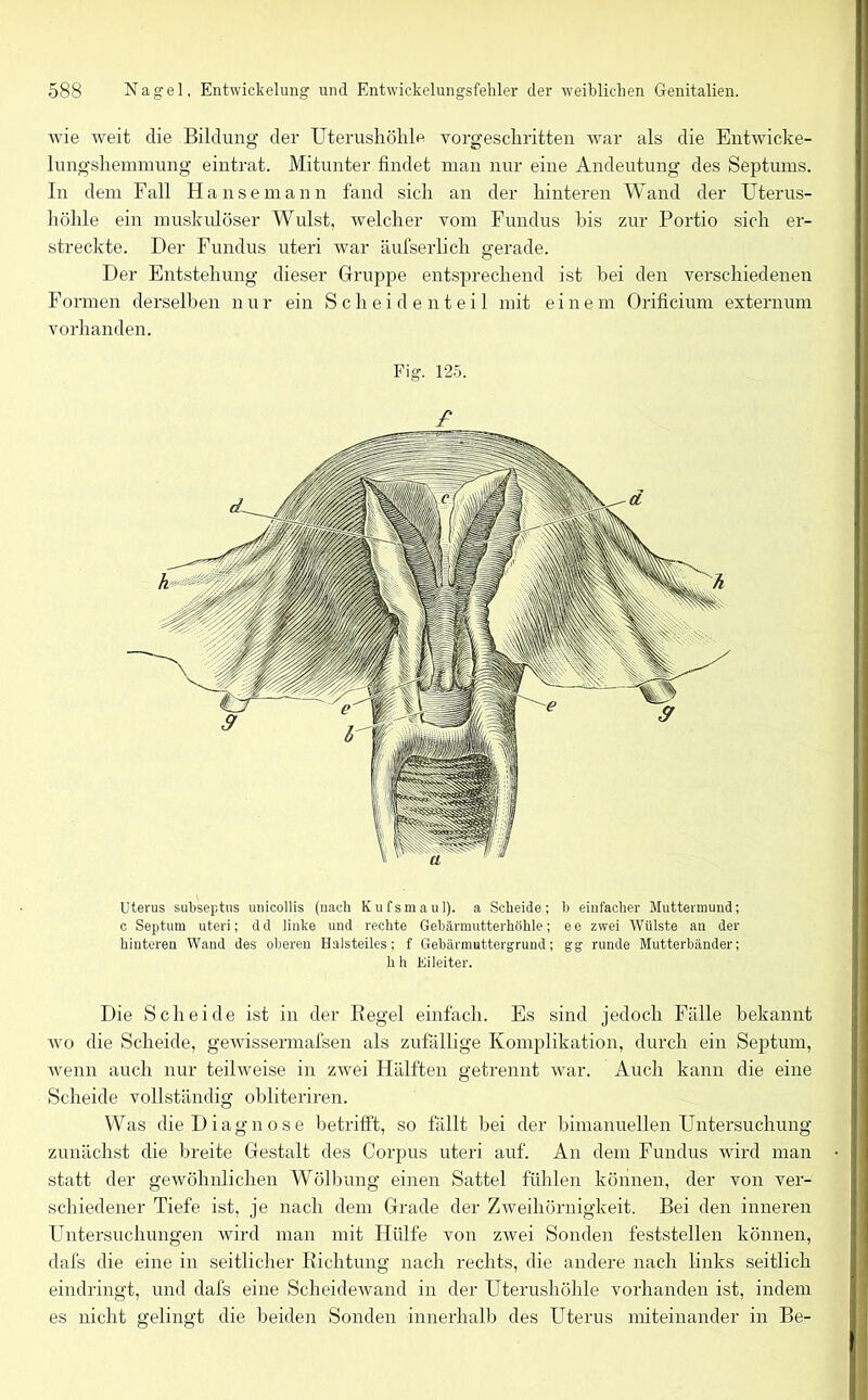 wie weit die Bildung der Uterushöhle vorgeschritten war als die Entwicke- lungshemmung eintrat. Mitunter findet man nur eine Andeutung des Septums. In dem Fall Hanse mann fand sich an der hinteren Wand der Uterus- höhle ein muskulöser Wulst, welcher vom Fundus bis zur Portio sich er- streckte. Der Fundus uteri war äufserlich gerade. Der Entstehung dieser Gruppe entsprechend ist bei den verschiedenen Formen derselben nur ein Scheidenteil mit einem Orificium extern um vorhanden. Fig. 125. £ Uterus subseptus umcollis (nach Kufsmaul), a Scheide; b einfacher Muttermund; c Septum uteri; dd linke und rechte Gebärmutterhöhle; ee zwei Wülste an der hinteren Wand des oberen Halsteiles; f Gebärmuttergrund; gg runde Mutterbänder; hh Kileiter. Die Scheide ist in der Regel einfach. Es sind jedoch Fälle bekannt avo die Scheide, gewissermafsen als zufällige Komplikation, durch ein Septum, wenn auch nur teilweise in zwei Hälften getrennt war. Auch kann die eine Scheide vollständig obliteriren. Was die Diagnose betrifft, so fällt bei der bimanuellen Untersuchung zunächst die breite Gestalt des Corpus uteri auf. An dem Fundus wird man statt der gewöhnlichen Wölbung einen Sattel fühlen können, der von ver- schiedener Tiefe ist, je nach dem Grade der Zweihörnigkeit. Bei den inneren Untersuchungen wird man mit Hülfe von zAvei Sonden feststellen können, dafs die eine in seitlicher Richtung nach rechts, die andere nach links seitlich eindringt, und dafs eine Scheidewand in der Uterushöhle vorhanden ist, indem es nicht gelingt die beiden Sonden innerhalb des Uterus miteinander in Be-