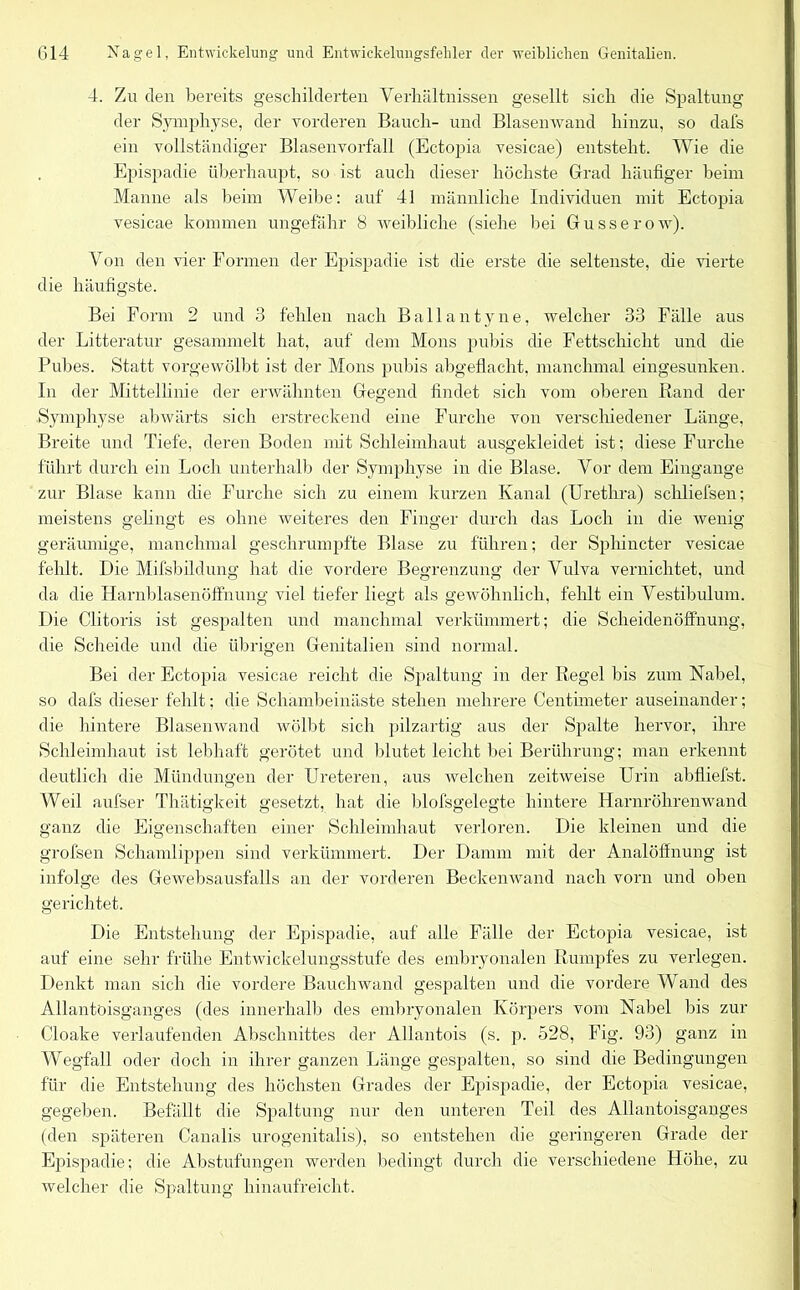 4. Zu den bereits geschilderten Verhältnissen gesellt sich die Spaltung der Symphyse, der vorderen Bauch- und Blasenwand hinzu, so dafs ein vollständiger Blasenvorfall (Ectopia vesicae) entsteht. Wie die Epispadie überhaupt, so ist auch dieser höchste Grad häufiger beim Manne als beim Weibe: auf 41 männliche Individuen mit Ectopia vesicae kommen ungefähr 8 weibliche (siehe hei Gusserow). Von den vier Formen der Epispadie ist die erste die seltenste, die vierte die häufigste. Bei Form 2 und 3 fehlen nach Ballantyne, welcher 33 Fälle aus der Litteratur gesammelt hat, auf dem Mons pubis che Fettschicht und die Pubes. Statt vorgewölbt ist der Mons pubis abgeflacht, manchmal eingesunken. In der Mittellinie der erwähnten Gegend findet sich vom oberen Band der Symphyse abwärts sich erstreckend eine Furche von verschiedener Länge, Breite und Tiefe, deren Boden mit Schleimhaut ausgekleidet ist; diese Furche führt durch ein Loch unterhalb der Symphyse in die Blase. Vor dem Eingänge zur Blase kann che Furche sich zu einem kurzen Kanal (Urethra) schliefsen; meistens gelingt es ohne weiteres den Finger durch das Loch in die wenig geräumige, manchmal geschrumpfte Blase zu führen; der Sphincter vesicae fehlt. Die Mifsbildung hat che vordere Begrenzung der Vulva vernichtet, und da che Harnblasenöffhung viel tiefer hegt als gewöhnlich, fehlt ein Vestibulum. Die Clitoris ist gespalten und manchmal verkümmert; die Scheidenöffnung, die Scheide und die übrigen Genitalien sind normal. Bei der Ectopia vesicae reicht che Spaltung in der Regel bis zum Nabel, so dafs dieser fehlt; che Schambeinäste stehen mehrere Centimeter auseinander; die hintere Blasenwand wölbt sich pilzartig aus der Spalte hervor, ihre Schleimhaut ist lebhaft gerötet und blutet leicht bei Berührung; man erkennt deutlich die Mündungen der Ureteren, aus welchen zeitweise Urin abfliefst. Weil anfser Thätigkeit gesetzt, hat die blofsgelegte hintere Harnröhrenwand ganz che Eigenschaften einer Schleimhaut verloren. Die kleinen und che grofsen Schamlippen sind verkümmert. Der Damm mit der Analöffnung ist infolge des Gewebsausfalls an der vorderen Beckenwand nach vorn und oben gerichtet. Die Entstehung der Epispadie, auf alle Fälle der Ectopia vesicae, ist auf eine sehr frühe Entwickelungsstufe des embryonalen Rumpfes zu verlegen. Denkt man sich che vordere Bauch wand gespalten und die vordere Wand des Allantöisganges (des innerhalb des embryonalen Körpers vom Nabel bis zur Cloake verlaufenden Abschnittes der Allantois (s. p. 528, Fig. 93) ganz in Wegfall oder doch in ihrer ganzen Länge gespalten, so sind che Bedingungen für che Entstehung des höchsten Grades der Epispadie, der Ectopia vesicae, gegeben. Befällt che Spaltung nur den unteren Teil des Allantöisganges (den späteren Canalis urogenitalis), so entstehen die geringeren Grade der Epispadie; che Abstufungen werden bedingt durch die verschiedene Höhe, zu welcher die Spaltung hinaufreicht.