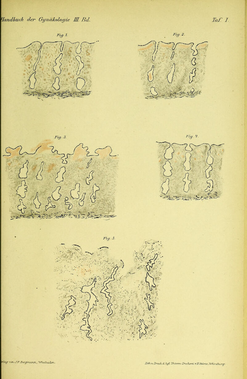 Tandbuch de?' GyjiäJcoLoyic UI. Bd. Taf 1. Fiy. ••••■- )• // / } s i ■ v 1!- (( \L : r < ;y /} \ ) ,. * J ; • : j • \ ; ! \ [ / l- ■;. jy ' f“ I i l Fiff.2. -~^ry / :J X > n ? }, // <r /> /5 o /; ,/7 w \ / )> . f\ Fig.3. fitf. ’l. s. V ^ / -y /■) f f (( \ * - v ) fv ?y?.s9 ö r \ ? r Xia ,?) Vv- HT T' •- ^ .-!.■■■ -- - - feg--' ~ _<i> .X ? C—•Tyr-.--- J f Hl ■ i C N i /') u n \!> /} (y K S ■ /V / jX <;J3||L ' ■}'•;> 4' >t\ . :.<• ■ // • CV • •' rpiT • \r • :Y. ; *■ \r-; .• - I - • ■ dfi■:■ ;V \ •. ., • • V i *#: •:'• V>~> ■.: | i •:: • •• ‘vT II : .H \ :X ,/ C . ■ • • .. • • \5- ■ :/fXX%::xV :$■ • :/ri ■ TÄ- . c>:• *>:./ ; ...• n Vi. • . •>'*** V . . • *•*** \ • • j • * i/ ’ Hay von, yJ.F. Bergmann, ’Wt&sbcuien,. Xrduic.BriLck. cL kgl J/hvvers-IruIkereL -vrKStctrtz dVdunzbtcrg-.
