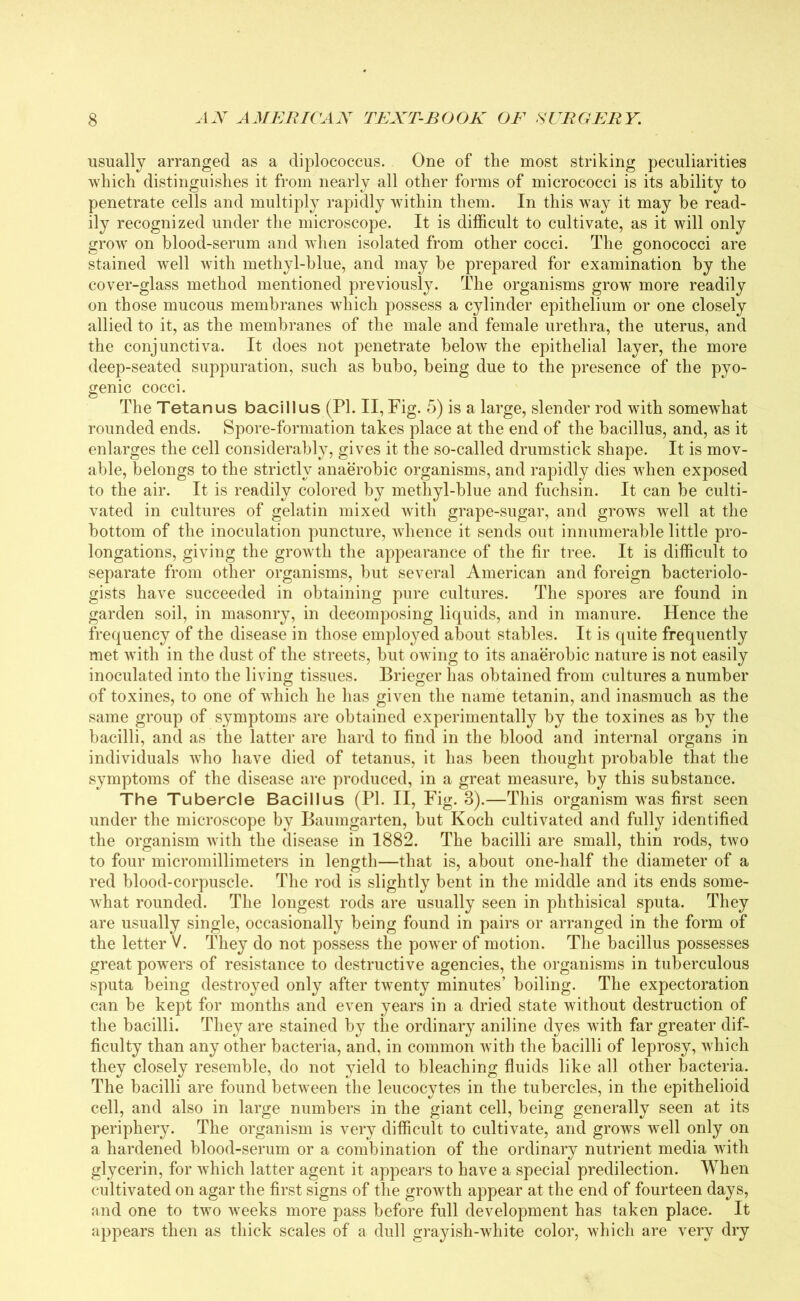 usually arranged as a diplococcus. One of the most striking peculiarities which distinguishes it from nearly all other forms of micrococci is its ability to penetrate cells and multiply rapidly within them. In this way it may be read- ily recognized under the microscope. It is difficult to cultivate, as it will only grow on blood-serum and when isolated from other cocci. The gonococci are stained well with methyl-blue, and may be prepared for examination by the cover-glass method mentioned previously. The organisms grow more readily on those mucous membranes which possess a cylinder epithelium or one closely allied to it, as the membranes of the male and female urethra, the uterus, and the conjunctiva. It does not penetrate below the epithelial layer, the more deep-seated suppuration, such as bubo, being due to the presence of the pyo- genic cocci. The Tetanus bacillus (PI. II, Fig. 5) is a large, slender rod with somewhat rounded ends. Spore-formation takes place at the end of the bacillus, and, as it enlarges the cell considerably, gives it the so-called drumstick shape. It is mov- able, belongs to the strictly anaerobic organisms, and rapidly dies when exposed to the air. It is readily colored by methyl-blue and fuchsin. It can be culti- vated in cultures of gelatin mixed with grape-sugar, and grows well at the bottom of the inoculation puncture, whence it sends out innumerable little pro- longations, giving the growth the appearance of the fir tree. It is difficult to separate from other organisms, but several American and foreign bacteriolo- gists have succeeded in obtaining pure cultures. The spores are found in garden soil, in masonry, in decomposing liquids, and in manure. Hence the frequency of the disease in those employed about stables. It is quite frequently met with in the dust of the streets, but owing to its anaerobic nature is not easily inoculated into the living tissues. Brieger has obtained from cultures a number of toxines, to one of which he has given the name tetanin, and inasmuch as the same group of symptoms are obtained experimentally by the toxines as by the bacilli, and as the latter are hard to find in the blood and internal organs in individuals who have died of tetanus, it has been thought probable that the symptoms of the disease are produced, in a great measure, by this substance. The Tubercle Bacillus (PI. II, Fig. 8).—This organism was first seen under the microscope by Baumgarten, but Koch cultivated and fully identified the organism with the disease in 1882. The bacilli are small, thin rods, two to four micromillimeters in length—that is, about one-half the diameter of a red blood-corpuscle. The rod is slightly bent in the middle and its ends some- what rounded. The longest rods are usually seen in phthisical sputa. They are usually single, occasionally being found in pairs or arranged in the form of the letter V. They do not possess the power of motion. The bacillus possesses great powers of resistance to destructive agencies, the organisms in tuberculous sputa being destroyed only after twenty minutes’ boiling. The expectoration can be kept for months and even years in a dried state without destruction of the bacilli. They are stained by the ordinary aniline dyes with far greater dif- ficulty than any other bacteria, and, in common with the bacilli of leprosy, which they closely resemble, do not yield to bleaching fluids like all other bacteria. The bacilli are found between the leucocytes in the tubercles, in the epithelioid cell, and also in large numbers in the giant cell, being generally seen at its periphery. The organism is very difficult to cultivate, and grows well only on a hardened blood-serum or a combination of the ordinary nutrient media with glycerin, for which latter agent it appears to have a special predilection. When cultivated on agar the first signs of the growth appear at the end of fourteen days, and one to tw7o weeks more pass before full development has taken place. It appears then as thick scales of a dull grayish-white color, which are very dry