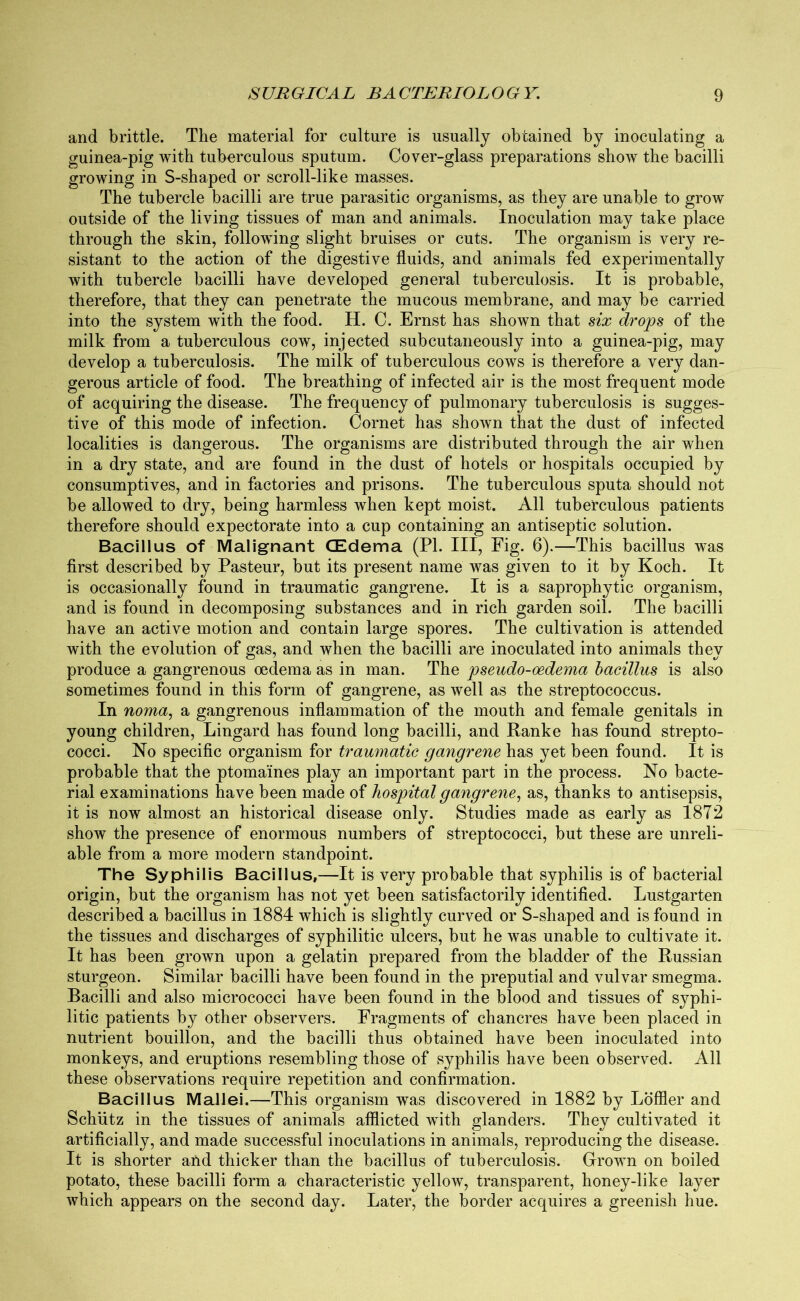 and brittle. The material for culture is usually obtained by inoculating a guinea-pig with tuberculous sputum. Cover-glass preparations show the bacilli growing in S-shaped or scroll-like masses. The tubercle bacilli are true parasitic organisms, as they are unable to grow outside of the living tissues of man and animals. Inoculation may take place through the skin, following slight bruises or cuts. The organism is very re- sistant to the action of the digestive fluids, and animals fed experimentally with tubercle bacilli have developed general tuberculosis. It is probable, therefore, that they can penetrate the mucous membrane, and may be carried into the system with the food. H. C. Ernst has shown that six drops of the milk from a tuberculous cow, injected subcutaneously into a guinea-pig, may develop a tuberculosis. The milk of tuberculous cows is therefore a very dan- gerous article of food. The breathing of infected air is the most frequent mode of acquiring the disease. The frequency of pulmonary tuberculosis is sugges- tive of this mode of infection. Cornet has shown that the dust of infected localities is dangerous. The organisms are distributed through the air when in a dry state, and are found in the dust of hotels or hospitals occupied by consumptives, and in factories and prisons. The tuberculous sputa should not be allowed to dry, being harmless when kept moist. All tuberculous patients therefore should expectorate into a cup containing an antiseptic solution. Bacillus of Malignant (Edema (PL III, Fig. 6).—This bacillus was first described by Pasteur, but its present name was given to it by Koch. It is occasionally found in traumatic gangrene. It is a saprophytic organism, and is found in decomposing substances and in rich garden soil. The bacilli have an active motion and contain large spores. The cultivation is attended with the evolution of gas, and when the bacilli are inoculated into animals they produce a gangrenous oedema as in man. The pseudo-oedema bacillus is also sometimes found in this form of gangrene, as well as the streptococcus. In noma, a gangrenous inflammation of the mouth and female genitals in young children, Lingard has found long bacilli, and Ranke has found strepto- cocci. No specific organism for traumatic gangrene has yet been found. It is probable that the ptomaines play an important part in the process. No bacte- rial examinations have been made of hospital gangrene, as, thanks to antisepsis, it is now almost an historical disease only. Studies made as early as 1872 show the presence of enormous numbers of streptococci, but these are unreli- able from a more modern standpoint. The Syphilis Bacillus,—It is very probable that syphilis is of bacterial origin, but the organism has not yet been satisfactorily identified. Lustgarten described a bacillus in 1884 which is slightly curved or S-shaped and is found in the tissues and discharges of syphilitic ulcers, but he was unable to cultivate it. It has been grown upon a gelatin prepared from the bladder of the Russian sturgeon. Similar bacilli have been found in the preputial and vulvar smegma. Bacilli and also micrococci have been found in the blood and tissues of syphi- litic patients by other observers. Fragments of chancres have been placed in nutrient bouillon, and the bacilli thus obtained have been inoculated into monkeys, and eruptions resembling those of syphilis have been observed. All these observations require repetition and confirmation. Bacillus Mallei.—This organism was discovered in 1882 by Lbffler and Schiitz in the tissues of animals afflicted with glanders. They cultivated it artificially, and made successful inoculations in animals, reproducing the disease. It is shorter and thicker than the bacillus of tuberculosis. Grown on boiled potato, these bacilli form a characteristic yellow, transparent, honey-like layer which appears on the second day. Later, the border acquires a greenish hue.