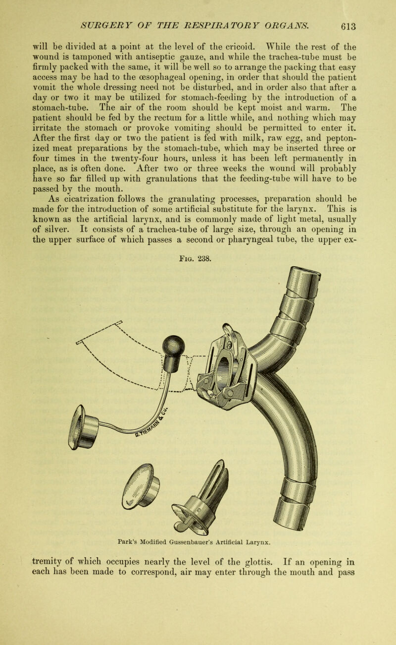 will be divided at a point at the level of the cricoid. While the rest of the wound is tamponed with antiseptic gauze, and while the trachea-tube must be firmly packed with the same, it will be well so to arrange the packing that easy access may be had to the oesophageal opening, in order that should the patient vomit the whole dressing need not be disturbed, and in order also that after a day or two it may be utilized for stomach-feeding by the introduction of a stomach-tube. The air of the room should be kept moist and warm. The patient should be fed by the rectum for a little while, and nothing which may irritate the stomach or provoke vomiting should be permitted to enter it. After the first day or two the patient is fed with milk, raw egg, and pepton- ized meat preparations by the stomach-tube, which may be inserted three or four times in the twenty-four hours, unless it has been left permanently in place, as is often done. After two or three weeks the wound will probably have so far filled up with granulations that the feeding-tube will have to be passed by the mouth. As cicatrization follows the granulating processes, preparation should be made for the introduction of some artificial substitute for the larynx. This is known as the artificial larynx, and is commonly made of light metal, usually of silver. It consists of a trachea-tube of large size, through an opening in the upper surface of which passes a second or pharyngeal tube, the upper ex- Fig. 238. Park’s Modified Gussenbauer's Artificial Larynx. tremity of which occupies nearly the level of the glottis. If an opening in each has been made to correspond, air may enter through the mouth and pass