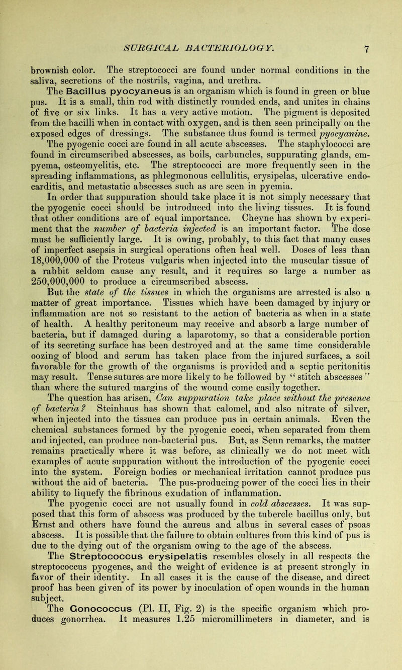 brownish color. The streptococci are found under normal conditions in the saliva, secretions of the nostrils, vagina, and urethra. The Bacillus pyocyaneus is an organism which is found in green or blue pus. It is a small, thin rod with distinctly rounded ends, and unites in chains of five or six links. It has a very active motion. The pigment is deposited from the bacilli when in contact with oxygen, and is then seen principally on the exposed edges of dressings. The substance thus found is termed pyocyanine. The pyogenic cocci are found in all acute abscesses. The staphylococci are found in circumscribed abscesses, as boils, carbuncles, suppurating glands, em- pyema, osteomyelitis, etc. The streptococci are more frequently seen in the spreading inflammations, as phlegmonous cellulitis, erysipelas, ulcerative endo- carditis, and metastatic abscesses such as are seen in pyemia. In order that suppuration should take place it is not simply necessary that the pyogenic cocci should be introduced into the living tissues. It is found that other conditions are of equal importance. Cheyne has shown by experi- ment that the number of bacteria injected is an important factor. The dose must be sufficiently large. It is owing, probably, to this fact that many cases of imperfect asepsis in surgical operations often heal well. Doses of less than 18.000. 000 of the Proteus vulgaris when injected into the muscular tissue of a rabbit seldom cause any result, and it requires so large a number as 250.000. 000 to produce a circumscribed abscess. But the state of the tissues in which the organisms are arrested is also a matter of great importance. Tissues which have been damaged by injury or inflammation are not so resistant to the action of bacteria as when in a state of health. A healthy peritoneum may receive and absorb a large number of bacteria, but if damaged during a laparotomy, so that a considerable portion of its secreting surface has been destroyed and at the same time considerable oozing of blood and serum has taken place from the injured surfaces, a soil favorable for the growth of the organisms is provided and a septic peritonitis may result. Tense sutures are more likely to be followed by “ stitch abscesses ” than where the sutured margins of the wound come easily together. The question has arisen, Can suppuration take place without the presence of bacteria? Steinhaus has shown that calomel, and also nitrate of silver, when injected into the tissues can produce pus in certain animals. Even the chemical substances formed by the pyogenic cocci, when separated from them and injected, can produce non-bacterial pus. But, as Senn remarks, the matter remains practically where it was before, as clinically we do not meet with examples of acute suppuration without the introduction of the pyogenic cocci into the system. Foreign bodies or mechanical irritation cannot produce pus without the aid of bacteria. The pus-producing power of the cocci lies in their ability to liquefy the fibrinous exudation of inflammation. The pyogenic cocci are not usually found in cold abscesses. It was sup- posed that this form of abscess was produced by the tubercle bacillus only, but Ernst and others have found the aureus and alb us in several cases of psoas abscess. It is possible that the failure to obtain cultures from this kind of pus is due to the dying out of the organism owing to the age of the abscess. The Streptococcus erysipelatis resembles closely in all respects the streptococcus pyogenes, and the weight of evidence is at present strongly in favor of their identity. In all cases it is the cause of the disease, and direct proof has been given of its power by inoculation of open wounds in the human subject. The Gonococcus (PL II, Fig. 2) is the specific organism which pro- duces gonorrhea. It measures 1.25 micromillimeters in diameter, and is