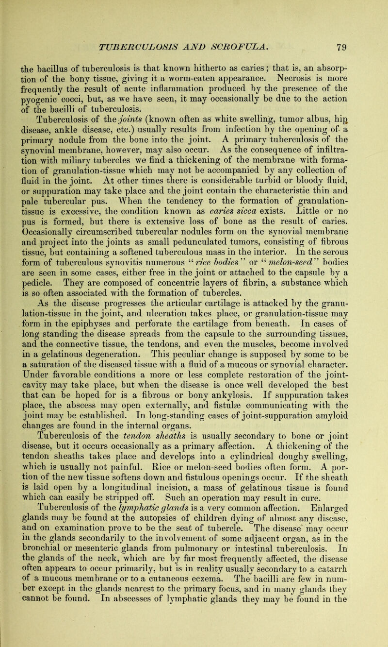 the bacillus of tuberculosis is that known hitherto as caries; that is, an absorp- tion of the bony tissue, giving it a worm-eaten appearance. Necrosis is more frequently the result of acute inflammation produced by the presence of the pyogenic cocci, but, as we have seen, it may occasionally be due to the action of the bacilli of tuberculosis. Tuberculosis of the joints (known often as white swelling, tumor albus, hip disease, ankle disease, etc.) usually results from infection by the opening of a primary nodule from the bone into the joint. A primary tuberculosis of the synovial membrane, however, may also occur. As the consequence of infiltra- tion with miliary tubercles we find a thickening of the membrane with forma- tion of granulation-tissue which may not be accompanied by any collection of fluid in the joint. At other times there is considerable turbid or bloody fluid, or suppuration may take place and the joint contain the characteristic thin and pale tubercular pus. When the tendency to the formation of granulation- tissue is excessive, the condition known as caries sicca exists. Little or no pus is formed, but there is extensive loss of bone as the result of caries. Occasionally circumscribed tubercular nodules form on the synovial membrane and project into the joints as small pedunculated tumors, consisting of fibrous tissue, but containing a softened tuberculous mass in the interior. In the serous form of tuberculous synovitis numerous u rice bodies” or “melon-seed” bodies are seen in some cases, either free in the joint or attached to the capsule by a pedicle. They are composed of concentric layers of fibrin, a substance which is so often associated with the formation of tubercles. As the disease progresses the articular cartilage is attacked by the granu- lation-tissue in the joint, and ulceration takes place, or granulation-tissue may form in the epiphyses and perforate the cartilage from beneath. In cases of long standing the disease spreads from the capsule to the surrounding tissues, and the connective tissue, the tendons, and even the muscles, become involved in a gelatinous degeneration. This peculiar change is supposed by some to be a saturation of the diseased tissue with a fluid of a mucous or synovial character. Under favorable conditions a more or less complete restoration of the joint- cavity may take place, but when the disease is once well developed the best that can be hoped for is a fibrous or bony ankylosis. If suppuration takes place, the abscess may open externally, and fistulae communicating with the joint may be established. In long-standing cases of joint-suppuration amyloid changes are found in the internal organs. Tuberculosis of the tendon sheaths is usually secondary to bone or joint disease, but it occurs occasionally as a primary affection. A thickening of the tendon sheaths takes place and develops into a cylindrical doughy swelling, which is usually not painful. Rice or melon-seed bodies often form. A por- tion of the new tissue softens down and fistulous openings occur. If the sheath is laid open by a longitudinal incision, a mass of gelatinous tissue is found which can easily be stripped off. Such an operation may result in cure. Tuberculosis of the lymphatic glands is a very common affection. Enlarged glands may be found at the autopsies of children dying of almost any disease, and on examination prove to be the seat of tubercle. The disease may occur in the glands secondarily to the involvement of some adjacent organ, as in the bronchial or mesenteric glands from pulmonary or intestinal tuberculosis. In the glands of the neck, which are by far most frequently affected, the disease often appears to occur primarily, but is in reality usually secondary to a catarrh of a mucous membrane or to a cutaneous eczema. The bacilli are few in num- ber except in the glands nearest to the primary focus, and in many glands they cannot be found. In abscesses of lymphatic glands they may be found in the