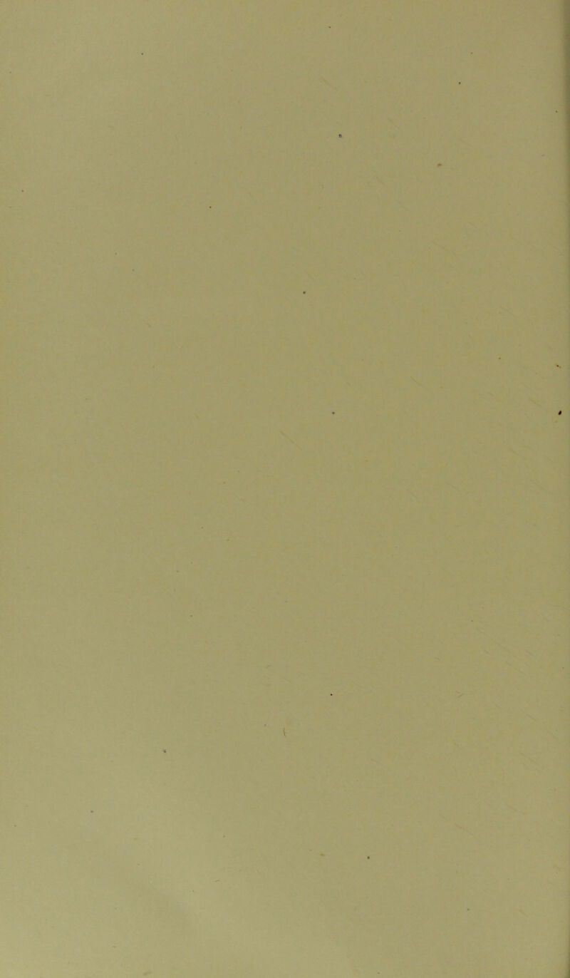 .■ ^ :r'*-’.^.'.:---'' K \ *i. *■' * * ! ) \ \ 1 N I >