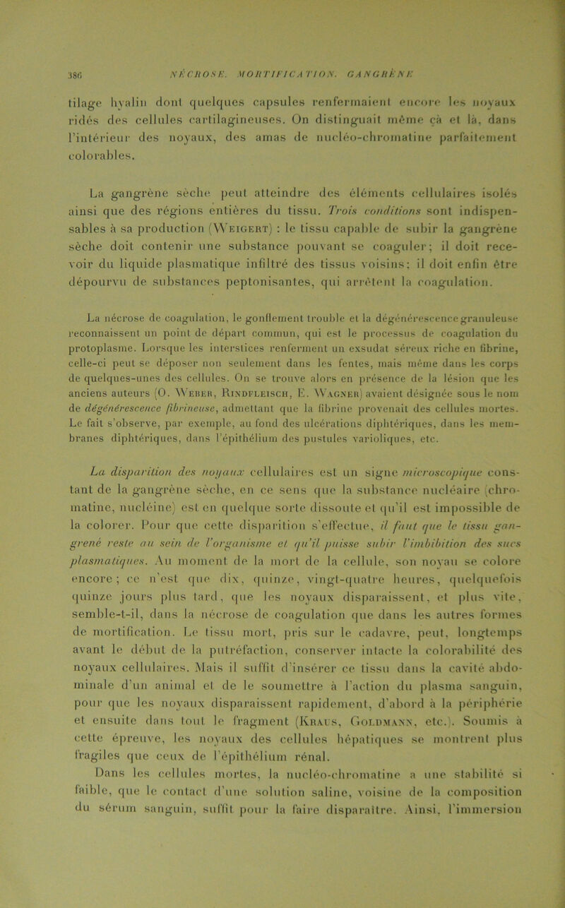 tilage hyalin dont quelques capsules renfermaient encore les noyaux ridés des cellules cartilagineuses. On distinguait même cà et là, dans l’intérieur des noyaux, des amas de nucléo-chroinatine parfaitement eolorables. La gangrène sèche peut atteindre des éléments cellulaires isolés ainsi que des régions entières du tissu. Trois conditions sont indispen- sables h sa production (YYkigert) : le tissu capable de subir la gangrène sèche doit contenir une substance pouvant se coaguler; il doit rece- voir du liquide plasmatique infiltré des tissus voisins; il doit enfin être dépourvu de substances peptonisantes, qui arrêtent la coagulation. La nécrose de coagulation, le gonflement trouble et la dégénérescencegranuleusv reconnaissent un point de départ commun, qui est le processus de coagulation du protoplasme. Lorsque les interstices renferment un exsudât séreux riche en fibrine, celle-ci peut se déposer non seulement dans les fentes, mais même dans les corps de quelques-unes des cellules. On se trouve alors en présence de la lésion que les anciens auteurs (0. Weber, Rindfleisch, E. Wagner) avaient désignée sous le nom de dégénérescence fibrineuse, admettant que la fibrine provenait des cellules mortes. Le fait s’observe, par exemple, au fond des ulcérations diphtériques, dans les mem- branes diphtériques, dans l’épithélium des pustules varioliques, etc. La disparition des noyaux cellulaires est un signe microscopique cons- tant de la gangrène sèche, en ce sens que la substance nucléaire chro- matine, nueléine) est. en quelque sorte dissoute et qu'il est impossible de la colorer. Pour que cette disparition s'effectue, il faut que le tissu gan- grené reste au sein de l’organisme et qu’il puisse subir Vimbibition des sues plasmatiques. Au moment de la mort de la cellule, son noyau se colore encore; ce n'est que dix, quinze, vingt-quatre heures, quelquefois quinze jours plus tard, que les noyaux disparaissent, et plus vite, semble-t-il, dans la nécrose de coagulation que dans les autres formes de mortification. Le tissu mort, pris sur le cadavre, peut, longtemps avant le début de la putréfaction, conserver intacte la colorabilité des noyaux cellulaires. Mais il suffit d'insérer ce lissu dans la cavité abdo- minale d’un animal el de le soumettre à l’action du plasma sanguin, pour que les noyaux disparaissent rapidement, d’abord à la périphérie el ensuite dans tout le fragment (Krals, Goldmann, etc.). Soumis à celte épreuve, les noyaux des cellules hépatiques se montrent plus fragiles que ceux de l’épithélium rénal. Dans les cellules mortes, la nucléo-ehromatine a une stabilité si faible, que le contact d’une solution saline, voisine de la composition du sérum sanguin, suffit pour la faire disparaître. Ainsi, l’immersion