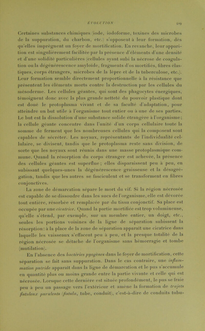 Certaines substances chimiques (iode, iodoformc, toxines des microbes de la suppuration, du charbon, etc.) s’opposent à leur formation, dès qu’elles imprègnent un foyer de mortification. E11 revanche, leur appari- tion est singulièrement facilitée par la présence d’éléments d’une densité et d’une solidité particulières (cellules ayant subi la nécrose de coagula- tion ou la dégénérescence amyloïde, fragments d’os mortifiés, fibres élas- tiques, corps étrangers, microbes de la lèpre et de la tuberculose, etc.). Leur formation semble directement proportionnelle à la résistance que présentent les éléments morts contre la destruction par les cellules du mésoderme. Les cellules géantes, cpii sont des phagocytes énergiques, témoignent donc avec la plus grande netteté du pouvoir plastique dont est doué le protoplasma vivant et de sa faculté d’adaptation, pour atteindre un but utile à l’organisme louL entier ou à une de ses parties. Le but est la dissolution d’une substance solide étrangère à l’organisme; la cellule géante concentre dans l’unité d'un corps cellulaire toute la somme de ferment (pie les nombreuses cellules qui la composent sont capables de sécréter. Les noyaux, représentants de l’individualité cel- lulaire, se divisent, tandis que le protoplasma reste sans division, de sorte que les noyaux sont réunis dans une masse protoplasmique com- mune. Quand la résorption du corps étranger est achevée, la présence des cellules géantes est superflue; elles disparaissent peu à peu, en subissant quelques-unes la dégénérescence graisseuse et la désagré- gation, tandis que les autres se fasciculent et se transforment en fibres conjonctives. La zone de démarcation sépare le mort du vif. Si la région nécrosée est capable de se dissoudre dans les sucs de l’organisme, elle est dévorée tout entière, résorbée et remplacée par du tissu conjonctif. Sa place est occupée par une cicatrice. Quand la partie mortifiée est trop volumineuse, qu’elle s’étend, par exemple, sur un membre entier, un doigt, etc., seules les portions voisines de la ligne de séparation subissent la résorption: à la place de la zone de séparation apparaît une cicatrice dans laquelle les vaisseaux s’effacent peu à peu, et la presque totalité de la région nécrosée se détache de l’organisme sans hémorragie et tombe (mutilation). En l’absence des bactéries pyogènes dans le foyer de mortification, cette séparation se fait sans suppuration. Dans le cas contraire, une inflam- mation putride apparaît dans la ligne de démarcation et le pus s’accumule en quantité plus ou moins grande entre la partie vivante et celle (pii est nécrosée. Lorsque cette dernière est située profondément, le pus se fraie peu à peu un passage vers l’extérieur et amène la formation de trajets fistuleux purulents (fistula, tube, conduit), c’est-à-dire de conduits tubu-