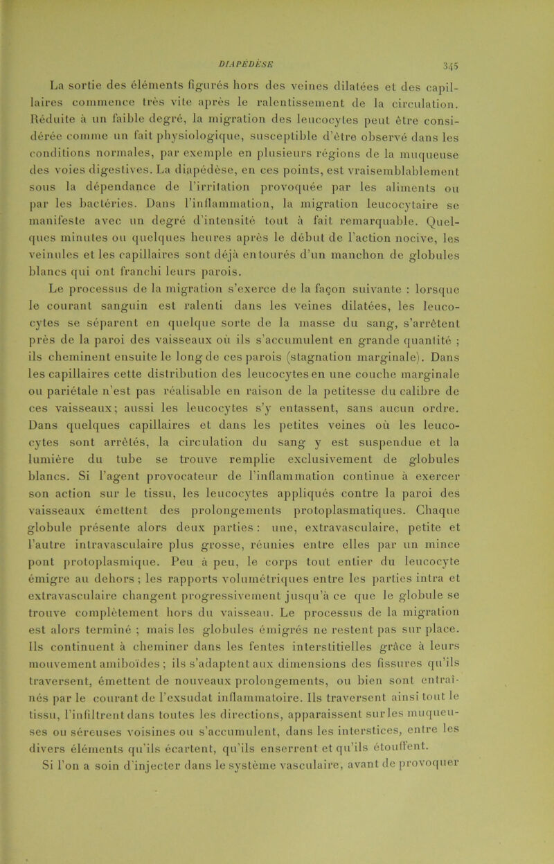 DI APÈDÈSE La sortie des éléments figurés hors des veines dilatées et des capil- laires commence très vite après le ralentissement de la circulation. Réduite à un faible degré, la migration des leucocytes peut être consi- dérée comme un fait physiologique, susceptible d’être observé dans les conditions normales, par exemple en plusieurs régions de la muqueuse des voies digestives. La diapédèse, en ces points, est vraisemblablement sous la dépendance de l’irritation provoquée par les aliments ou par les bactéries. Dans l’inflammation, la migration leucocytaire se manifeste avec un degré d’intensité tout à fait remarquable. Quel- ques minutes ou quelques heures après le début de l’action nocive, les veinules et les capillaires sont déjà entourés d’un manchon de globules blancs qui ont franchi leurs parois. Le processus de la migration s’exerce de la façon suivante : lorsque le courant sanguin est ralenti dans les veines dilatées, les leuco- cytes se séparent en quelque sorte de la masse du sang, s’arrêtent près de la paroi des vaisseaux où ils s’accumulent en grande quantité ; ils cheminent ensuite le longde ces parois (stagnation marginale). Dans les capillaires cette distribution des leucocytes en une couche marginale ou pariétale n’est pas réalisable en raison de la petitesse du calibre de ces vaisseaux; aussi les leucocytes s’y entassent, sans aucun ordre. Dans quelques capillaires et dans les petites veines où les leuco- cytes sont arrêtés, la circulation du sang y est suspendue et la lumière du tube se trouve remplie exclusivement de globules blancs. Si l’agent provocateur de l’inflammation continue à exercer son action sur le tissu, les leucocytes appliqués contre la paroi des vaisseaux émettent des prolongements protoplasmatiques. Chaque globule présente alors deux parties : une, extravasculaire, petite et l’autre intravasculaire plus grosse, réunies entre elles par un mince pont protoplasmique. Peu à peu, le corps tout entier du leucocyte émigre au dehors; les rapports volumétriques entre les parties intra et extravasculaire changent progressivement jusqu’à ce que le globule se trouve complètement hors du vaisseau. Le processus de la migration est alors terminé ; mais les globules émigrés ne restent pas sur place. Us continuent à cheminer dans les fentes interstitielles grâce à leurs mouvement amiboïdes ; ils s’adaptent aux dimensions des fissures qu’ils traversent, émettent de nouveaux prolongements, ou bien sont entraî- nés par le courant de l’exsudât inflammatoire. Ils traversent ainsi tout le tissu, l’infiltrent dans toutes les directions, apparaissent sur les muqueu- ses ou séreuses voisines ou s’accumulent, dans les interstices, entre les divers éléments qu’ils écartent, qu’ils enserrent et qu’ils étouffent. Si l’on a soin d'injecter dans le système vasculaire, avant de provoquer