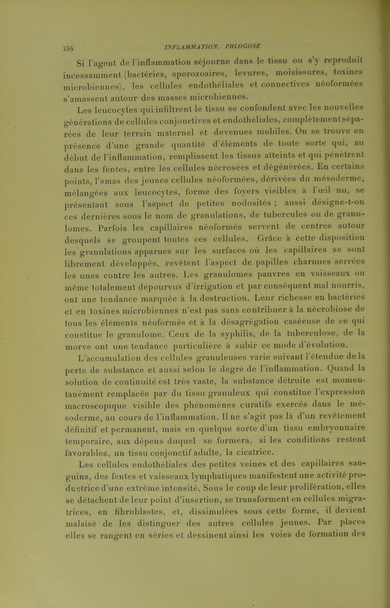 H5G Si l'agent de l’inflammation séjourne dans le tissu ou s’y reproduit incessamment (bactéries, sporo/.oaircs, levures, moisissures, toxines microbiennes), les cellules endothéliales et connectives néoformées s’amassent autour des masses microbiennes. Les leucocytes qui infiltrent le tissu se confondent avec les nouvelles générations de cellules conjonctives et endothéliales, complètement sépa- rées de leur terrain maternel et devenues mobiles. On se trouve en présence d’une grande quantité d éléments de toute soi te qui, au début de l’inflammation, remplissent les tissus atteints et qui pénètrent dans les fentes, entre les cellules nécrosées et dégénérées. En certains points, l’amas des jeunes cellules néoformées, dérivées du mésoderme, mélangées aux leucocytes, forme des foyers visibles à l'œil nu, se présentant sous l’aspect de petites nodosités ; aussi désigne-t-on ces dernières sous le nom de granulations, de tubercules ou de granu- lomes. Parfois les capillaires néoformés servent de centres autour desquels se groupent toutes ces cellules. Grâce à cette disposition les granulations apparues sur les surfaces où les capillaires se sont librement développés, revêtent 1 aspect de papilles charnues serrées les unes contre les autres. Les granulomes pauvres en vaisseaux ou même totalement dépourvus d’irrigation et par conséquent mal nourris, ont une tendance marquée à la destruction. Leur richesse en bactéries et en toxines microbiennes n’est pas sans contribuer à la nécrobiose de tous les éléments néoformés et à la désagrégation caséeuse de ce qui constitue le granulome. Ceux de la syphilis, de la tuberculose, de la morve ont une tendance particulière à subir ce mode d'évolution. L’accumulation des cellules granuleuses varie suivant 1 étendue delà perte de substance et aussi selon le degré de l’inflammation. Quand la solution de continuité est très vaste, la substance détruite est momen- tanément remplacée par du tissu granuleux qui constitue 1 expression macroscopique visible des phénomènes curatifs exercés dans le mé- soderme, au cours de l’inflammation, line s’agit pas là d’un revêtement définitif et permanent, mais en quelque sorte d un tissu embryonnaire temporaire, aux dépens duquel se formera, si les conditions restent favorables, un tissu conjonctif adulte, la cicatrice. Les cellules endothéliales des petites veines et des capillaires san- guins, des fentes et vaisseaux lymphatiques manifestent une activité pro- ductrice d’une extrême intensité. Sous le coup de leur prolifération, elles se détachent de leur point d’insertion, se transforment en cellules migra- trices, en fibroblastes, et, dissimulées sous celte forme, il devient malaisé de les distinguer des autres cellules jeunes. Par places elles se rangent en séries et dessinent ainsi les voies de formation des