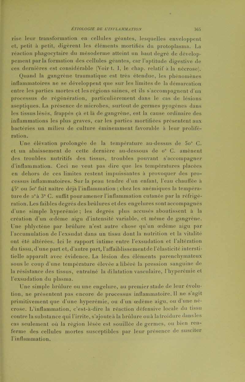 rise leur transformation en cellules géantes, lesquelles enveloppent et, petit à petit, digèrent les éléments mortifiés du protoplasma. La réaction phagocytaire du mésoderme atteint un haut degré de dévelop- pement par la formation des cellules géantes, car l’aptitude digestive de ces dernières est considérable (Voir t. I, le ehap. relatif à la nécrose). Quand la gangrène traumatique est très étendue, les phénomènes inflammatoires ne se développent que sur les limites de la démarcation entre les parties mortes et les régions saines, et ils s’accompagnent d'un processus de régénération, particulièrement dans le cas de lésions aseptiques. La présence de microbes, surtout de germes pyogènes dans les tissus lésés, frappés çà et là de gangrène, est la cause ordinaire des inflammations les plus graves, car les parties mortifiées présentent aux bactéries un milieu de culture éminemment favorable à leur prolifé- ration. Une élévation prolongée de la température au-dessus de 5o° C. et un abaissement de celte dernière au-dessous de o° C. amènent des troubles nutritifs des tissus, troubles pouvant s’accompagner d’inflammation. Ceci ne veut pas dire que les températures placées en dehors de ces limites restent impuissantes à provoquer des pro- cessus inflammatoires. Sur la peau tendre d’un enfant, l’eau chauffée à 45° ou 5o° fait naître déjà l’inflammation ; chez les anémiques la tempéra- ture de 2°à 3° C. suffit pour amener l’inflammation cutanée par la réfrigé- ration. Les faibles degrés des brûlures et des engelures sont accompagnés d’une simple hyperémie ; les degrés plus accusés aboutissent à la création d’un œdème aigu d'intensité variable, et même de gangrène. Une phlyctène par brûlure n’est autre chose qu’un œdème aigu par l’accumulation de l’exsudât dans un tissu dont la nutrition et la vitalité ont été altérées. Ici le rapport intime entre l’exsudation et l’altération du tissu, d’une part et, d’autre part, l’affaiblissementde l’élasticité intersti- tielle apparaît avec évidence. La lésion des éléments parenchymateux sous le coup d’une température élevée a libéré la pression sanguine de la résistance des tissus, entraîné la dilatation vasculaire, l’hyperémie et l’exsudation du plasma. Une simple brûlure ou une engelure, au premier stade de leur évolu- tion, ne présentent pas encore de processus inflammatoire. 11 ne s’agit primitivement que d’une hyperémie, ou d’un œdème aigu, ou d’une né- crose. L’inflammation, c’est-à-dire la réaction défensive locale du tissu contre la substance qui l’irrite, s’ajouteà la brûlure ouà lafroidure dansles cas seulement où la région lésée est souillée de germes, ou bien ren- ferme des cellules mortes susceptibles par leur présence de susciter l’inflammation.