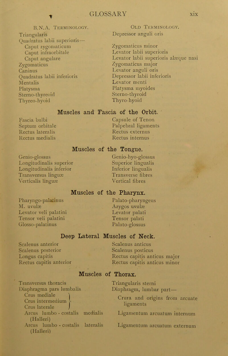 B.N.A. Terminology. Triangularis Quadratus labii superioris— Caput zygomaticum Caput infraorbitale Caput angulare Zygomaticus Can in us Quadratus labii inferioris Mentalis Platysma Sterno-thyreoid Thyreo-hyoid Old Terminology. Depressor anguli oris Zygomaticus minor Levator labii superioris Levator labii superioris alreque nasi Zygomaticus major Levator anguli oris Depressor labii inferioris Levator menti Platysma myoides Sterno-thyroid Thyro-hyoid Muscles and Fascia of the Orbit. ' Fascia bulbi Septum orbitale Rectus lateralis Rectus medialis Capsule of Tenon Palpebral ligaments Rectus externus Rectus internus Muscles of Genio-glossus Longitudinalis superior Longitudinalis inferior Transversus linguce Verticalis linguae Muscles of Pharyngo-palaiinus M. uvulae Levator veli palatini Tensor veli palatini Glosso-palatinus Deep Lateral Scalenus anterior Scalenus posterior Longus capitis Rectus capitis anterior Muscles Transversus thoracis Diaphragma pars lumbalis Crus mediale j Crus intermedium !- Crus laterale ) Arcus lumbo - costalis medialis (Halleri) Arcus lumbo - costalis lateralis (Halleri) the Tongue. Genio-hyo-glossus Superior lingual is Inferior lingualis Transverse fibres Vertical fibres the Pharynx. Palato-pharyngeus Azygos uvulce Levator palati Tensor palati Palato-glossus Muscles of Neck. Scalenus anticus Scalenus posticus Rectus capitis anticus major Rectus capitis anticus minor of Thorax. Triangularis sterni Diaphragm, lumbar part— Crura and origins from arcuate ligaments Ligamentum arcuatum internum Ligamentum arcuatum externum