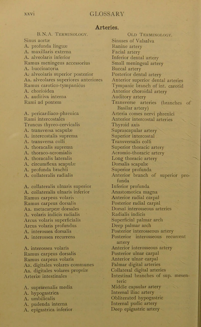 Arteries. B.N.A. Terminology. Sinus aortae A. profunda linguae A. maxillaris externa A. alveolaris inferior Ramus meningeus accessorius A. buccinatoria A. alveolaris superior posterior Aa. alveolares superiores anteriores Ramus carotico-tympanicus A. chorioidea A. audiliva interna Rami ad pontem A. pericardiaco-phrenica Rami inter costales Truncus thyreo-cervicalis A. transversa scapulae A. intercostalis suprema A. transversa colli A. thoracalis suprema A. thoraco-acromialis A. thoracalis lateralis A. circumflexa scapulae A. profunda brachii A. collateralis radialis A. collateralis ulnaris superior A. collateralis ulnaris inferior Ramus carpeus volaris Ramus carpeus dorsalis Aa. metacarpeae dorsales A. volaris indicis radialis Arcus volaris superficialis Arcus volaris profundus A. interossea dorsalis A. interossea recurrens A. interossea volaris Ramus carpeus dorsalis Ramus carpeus volaris Aa. digitales volares communes Aa. digitales volares propriee Arterise intestinales A. suprarenalis media A. hypogastrica A. umbilicalis A. pudenda interna A. epigastrica inferior Old Terminology. Sinuses of Valsalva Ranine artery Facial artery Inferior dental artery Small meningeal artery Buccal artery Posterior dental artery Anterior superior dental arteries Tympanic branch of int. carotid Anterior choroidal artery Auditory artery Transverse arteries (branches of Basilar artery) Arteria comes nervi phrenici Anterior intercostal arteries Thyroid axis Suprascapular artery Superior intercostal Transversalis colli Superior thoracic artery Acromio-thoracic artery Long thoracic artery Dorsalis scapulae Superior profunda Anterior branch of superior pro- funda Inferior profunda Anastomotica magna Anterior radial carpal Posterior radial carpal Dorsal interosseous arteries Radialis indicis Superficial palmar arch Deep palmar arch Posterior interosseous artery Posterior interosseous recurrent artery Anterior interosseous artery Posterior ulnar carpal Anterior ulnar carpal Palmar digital arteries Collateral digital arteries Intestinal branches of sup. mesen- teric Middle capsular artery Internal iliac artery Obliterated hypogastric Internal pudic artery Deep epigastric artery