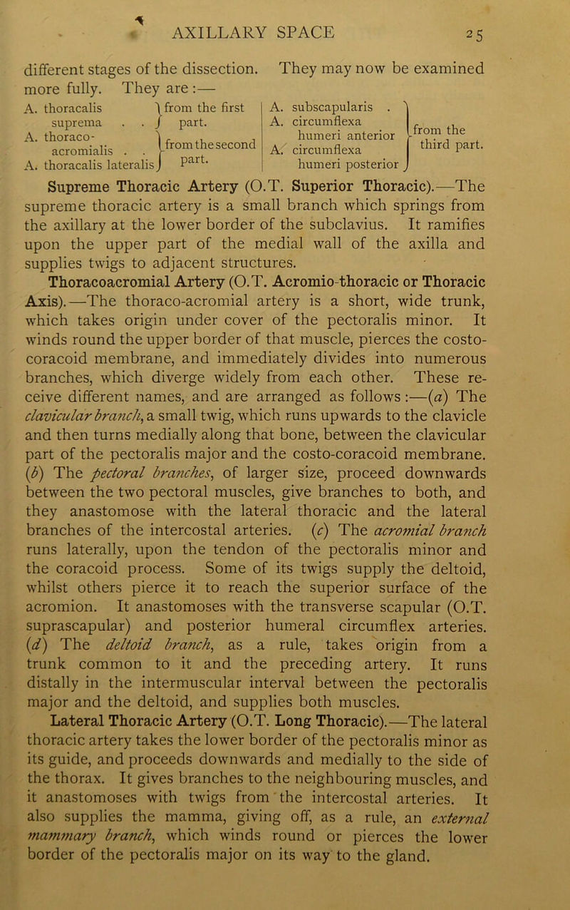 different stages of the dissection, more fully. They are :— A. thoracalis suprema A. thoraco- acromialis . A. thoracalis lateralis from the first part. from the second part. They may now be examined A. subscapularis . A. circumflexa f humeri anterior V,™ , A/ circumflexa third Part humeri posterior v Supreme Thoracic Artery (O.T. Superior Thoracic).—The supreme thoracic artery is a small branch which springs from the axillary at the lower border of the subclavius. It ramifies upon the upper part of the medial wall of the axilla and supplies twigs to adjacent structures. Thoracoacromial Artery (O.T. Acromio thoracic or Thoracic Axis).—The thoraco-acromial artery is a short, wide trunk, which takes origin under cover of the pectoralis minor. It winds round the upper border of that muscle, pierces the costo- coracoid membrane, and immediately divides into numerous branches, which diverge widely from each other. These re- ceive different names, and are arranged as follows :—(a) The clavicular branch, a small twig, which runs upwards to the clavicle and then turns medially along that bone, between the clavicular part of the pectoralis major and the costo-coracoid membrane. (b) The pectoral branches, of larger size, proceed downwards between the two pectoral muscles, give branches to both, and they anastomose with the lateral thoracic and the lateral branches of the intercostal arteries. (c) The acromial bra7ich runs laterally, upon the tendon of the pectoralis minor and the coracoid process. Some of its twigs supply the deltoid, whilst others pierce it to reach the superior surface of the acromion. It anastomoses with the transverse scapular (O.T. suprascapular) and posterior humeral circumflex arteries. (d) The deltoid branch, as a rule, takes origin from a trunk common to it and the preceding artery. It runs distally in the intermuscular interval between the pectoralis major and the deltoid, and supplies both muscles. Lateral Thoracic Artery (O.T. Long Thoracic).—The lateral thoracic artery takes the lower border of the pectoralis minor as its guide, and proceeds downwards and medially to the side of the thorax. It gives branches to the neighbouring muscles, and it anastomoses with twigs from the intercostal arteries. It also supplies the mamma, giving off, as a rule, an external 77ia?m7iary branch, which winds round or pierces the lower border of the pectoralis major on its way to the gland.