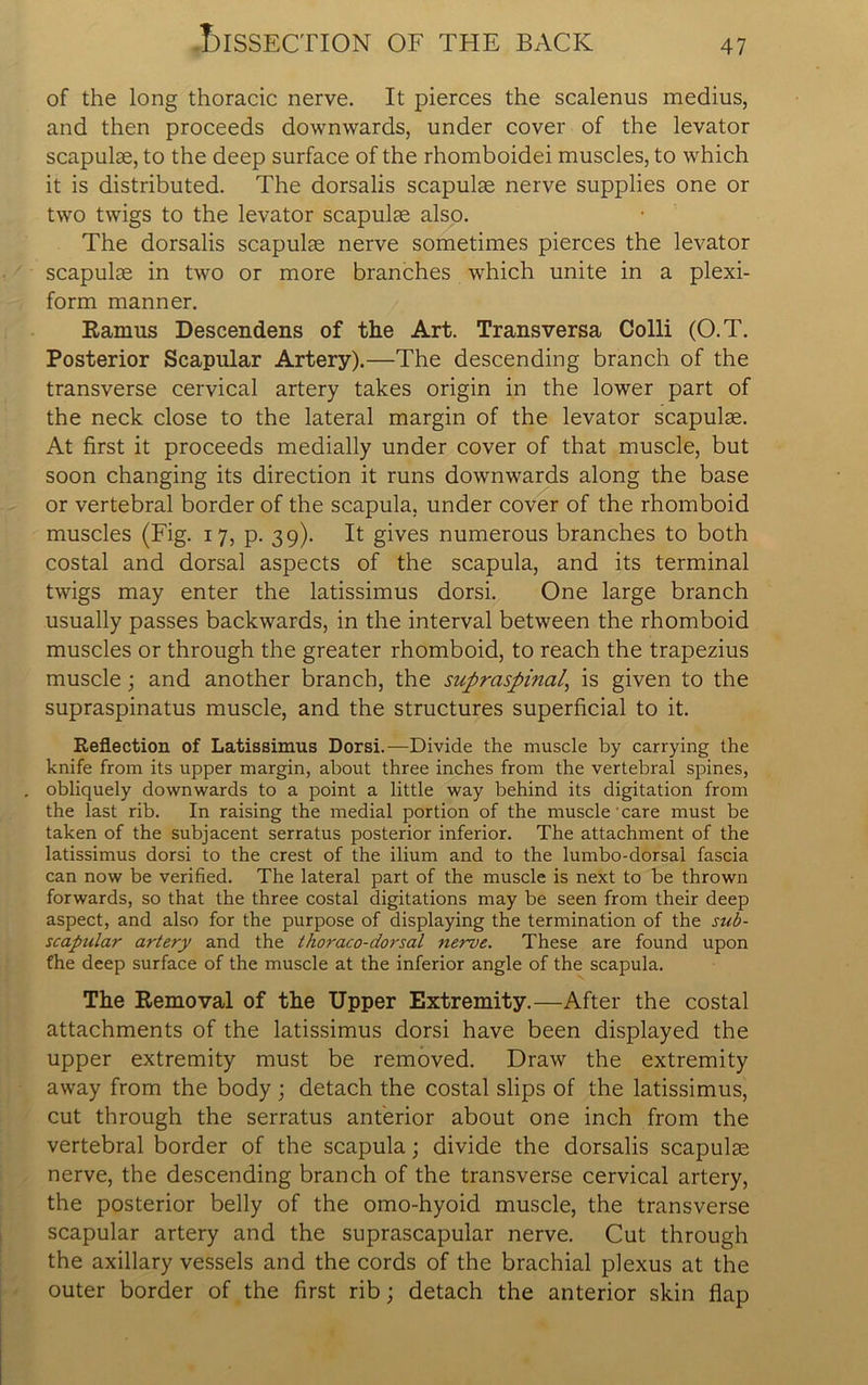of the long thoracic nerve. It pierces the scalenus medius, and then proceeds downwards, under cover of the levator scapulse, to the deep surface of the rhomboidei muscles, to which it is distributed. The dorsalis scapulae nerve supplies one or two twigs to the levator scapulse also. The dorsalis scapulae nerve sometimes pierces the levator scapulae in two or more branches which unite in a plexi- form manner. Ramus Descendens of the Art. Transversa Colli (O.T. Posterior Scapular Artery).—The descending branch of the transverse cervical artery takes origin in the lower part of the neck close to the lateral margin of the levator scapulse. At first it proceeds medially under cover of that muscle, but soon changing its direction it runs downwards along the base or vertebral border of the scapula, under cover of the rhomboid muscles (Fig. 17, p. 39). It gives numerous branches to both costal and dorsal aspects of the scapula, and its terminal twigs may enter the latissimus dorsi. One large branch usually passes backwards, in the interval between the rhomboid muscles or through the greater rhomboid, to reach the trapezius muscle; and another branch, the supraspinal’ is given to the supraspinatus muscle, and the structures superficial to it. Reflection of Latissimus Dorsi.—Divide the muscle by carrying the knife from its upper margin, about three inches from the vertebral spines, obliquely downwards to a point a little way behind its digitation from the last rib. In raising the medial portion of the muscle care must be taken of the subjacent serratus posterior inferior. The attachment of the latissimus dorsi to the crest of the ilium and to the lumbo-dorsal fascia can now be verified. The lateral part of the muscle is next to be thrown forwards, so that the three costal digitations may be seen from their deep aspect, and also for the purpose of displaying the termination of the sub- scapular artery and the thoraco-dorsal nerve. These are found upon fhe deep surface of the muscle at the inferior angle of the scapula. The Removal of the Upper Extremity.—After the costal attachments of the latissimus dorsi have been displayed the upper extremity must be removed. Draw the extremity away from the body; detach the costal slips of the latissimus, cut through the serratus anterior about one inch from the vertebral border of the scapula; divide the dorsalis scapulae nerve, the descending branch of the transverse cervical artery, the posterior belly of the omo-hyoid muscle, the transverse scapular artery and the suprascapular nerve. Cut through the axillary vessels and the cords of the brachial plexus at the outer border of the first rib; detach the anterior skin flap
