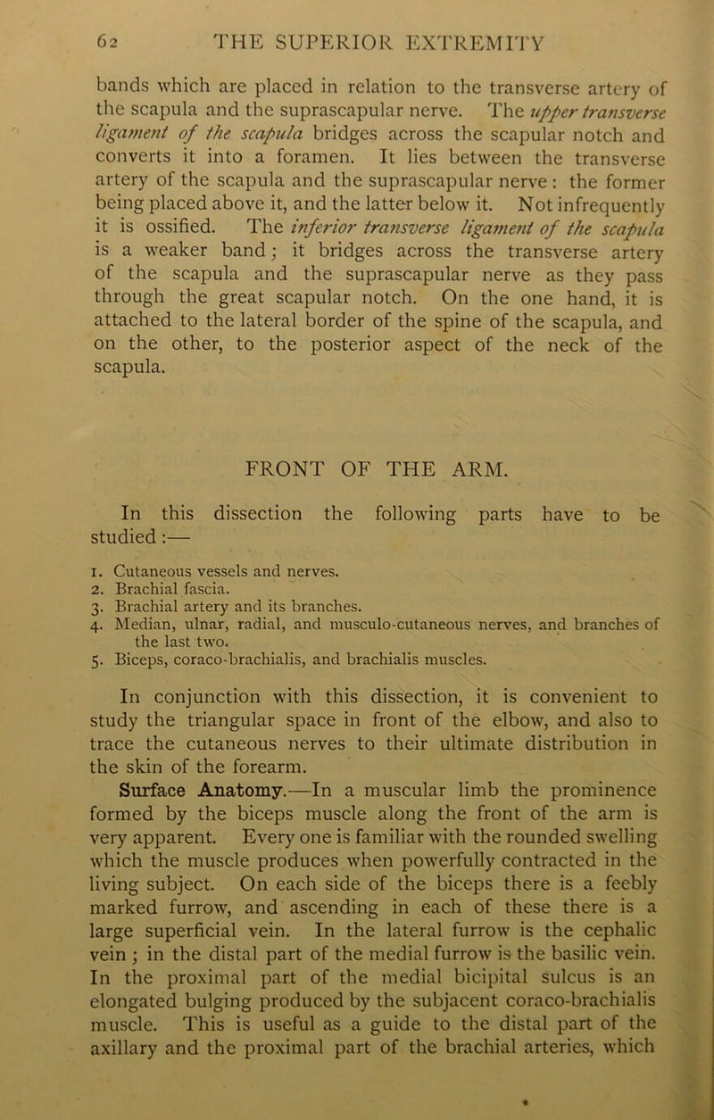 bands which are placed in relation to the transverse artery of the scapula and the suprascapular nerve. The upper transverse ligament of the scapula bridges across the scapular notch and converts it into a foramen. It lies between the transverse artery of the scapula and the suprascapular nerve : the former being placed above it, and the latter below it. Not infrequently it is ossified. The inferior transverse ligament of the scapula is a weaker band; it bridges across the transverse artery of the scapula and the suprascapular nerve as they pass through the great scapular notch. On the one hand, it is attached to the lateral border of the spine of the scapula, and on the other, to the posterior aspect of the neck of the scapula. FRONT OF THE ARM. In this dissection the following parts have to be studied:— 1. Cutaneous vessels and nerves. 2. Brachial fascia. 3. Brachial artery and its branches. 4. Median, ulnar, radial, and musculo-cutaneous nerves, and branches of the last two. 5. Biceps, coraco-brachialis, and brachialis muscles. In conjunction with this dissection, it is convenient to study the triangular space in front of the elbow, and also to trace the cutaneous nerves to their ultimate distribution in the skin of the forearm. Surface Anatomy.—In a muscular limb the prominence formed by the biceps muscle along the front of the arm is very apparent. Every one is familiar with the rounded swelling which the muscle produces when powerfully contracted in the living subject. On each side of the biceps there is a feebly marked furrow, and ascending in each of these there is a large superficial vein. In the lateral furrow is the cephalic vein ; in the distal part of the medial furrow is the basilic vein. In the proximal part of the medial bicipital sulcus is an elongated bulging produced by the subjacent coraco-brachialis muscle. This is useful as a guide to the distal part of the axillary and the proximal part of the brachial arteries, which