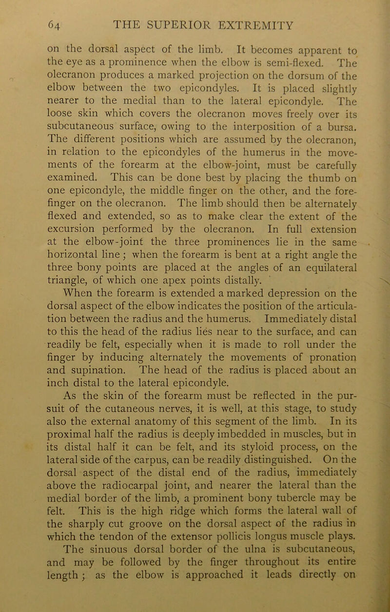 on the dorsal aspect of the limb. It becomes apparent to the eye as a prominence when the elbow is semi-flexed. The olecranon produces a marked projection on the dorsum of the elbow between the two epicondyles. It is placed slightly nearer to the medial than to the lateral epicondyle. The loose skin which covers the olecranon moves freely over its subcutaneous surface, owing to the interposition of a bursa. The different positions which are assumed by the olecranon, in relation to the epicondyles of the humerus in the move- ments of the forearm at the elbow-joint, must be carefully examined. This can be done best by placing the thumb on one epicondyle, the middle finger on the other, and the fore- finger on the olecranon. The limb should then be alternately flexed and extended, so as to make clear the extent of the excursion performed by the olecranon. In full extension at the elbow-joint the three prominences lie in the same horizontal line; when the forearm is bent at a right angle the three bony points are placed at the angles of an equilateral triangle, of which one apex points distally. When the forearm is extended a marked depression on the dorsal aspect of the elbow indicates the position of the articula- tion between the radius and the humerus. Immediately distal to this the head of the radius lies near to the surface, and can readily be felt, especially when it is made to roll under the finger by inducing alternately the movements of pronation and supination. The head of the radius is placed about an inch distal to the lateral epicondyle. As the skin of the forearm must be reflected in the pur- suit of the cutaneous nerves, it is well, at this stage, to study also the external anatomy of this segment of the limb. In its proximal half the radius is deeply imbedded in muscles, but in its distal half it can be felt, and its styloid process, on the lateral side of the carpus, can be readily distinguished. On the dorsal aspect of the distal end of the radius, immediately above the radiocarpal joint, and nearer the lateral than the medial border of the limb, a prominent bony tubercle may be felt. This is the high ridge which forms the lateral wall of the sharply cut groove on the dorsal aspect of the radius in which the tendon of the extensor pollicis longus muscle plays. The sinuous dorsal border of the ulna is subcutaneous, and may be followed by the finger throughout its entire length; as the elbow is approached it leads directly on