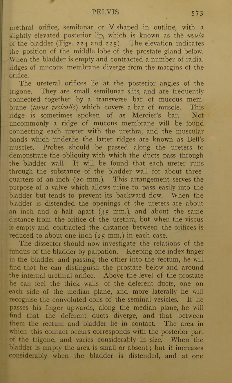 urethral orifice, semilunar or V-shaped in outline, with a slightly elevated posterior lip, which is known as the uvula of the bladder (Figs. 224 and 225). The elevation indicates the position of the middle lobe of the prostate gland below. When the bladder is empty and contracted a number of radial ridges of mucous membrane diverge from the margins of the orifice. The ureteral orifices lie at the posterior angles of the trigone. They are small semilunar slits, and are frequently connected together by a transverse bar of mucous - mem- brane (torus vesicalis) which covers a bar of muscle. This ridge is sometimes spoken of as Mercier’s bar. Not uncommonly a ridge of mucous membrane will be found connecting each ureter with the urethra, and the muscular bands which underlie the latter ridges are known as Bell’s muscles. Probes should be passed along the ureters to demonstrate the obliquity with which the ducts pass through the bladder wall. It will be found that each ureter runs through the substance of the bladder wall for about three- quarters of an inch (20 mm.). This arrangement serves the purpose of a valve which allows urine to pass easily into the bladder but tends to prevent its backward flow. When the bladder is distended the openings of the ureters are about an inch and a half apart (35 mm.), and about the same distance from the orifice of the urethra, but when the viscus is empty and contracted the distance between the orifices is reduced to about one inch (25 mm.) in each case. The dissector should now investigate the relations of the fundus of the bladder by palpation. Keeping one index finger in the bladder and passing the other into the rectum, he will find that he can distinguish the prostate below and around the internal urethral orifice. Above the level of the prostate he can feel the thick walls of the deferent ducts, one on each side of the median plane, and more laterally he will recognise the convoluted coils of the seminal vesicles. If he passes his finger upwards, along the median plane, he will find that the deferent ducts diverge, and that between them the rectum and bladder lie in contact. The area in which this contact occurs corresponds with the posterior part of the trigone, and varies considerably in size. When the bladder is empty the area is small or absent; but it increases considerably when the bladder is distended, and at one
