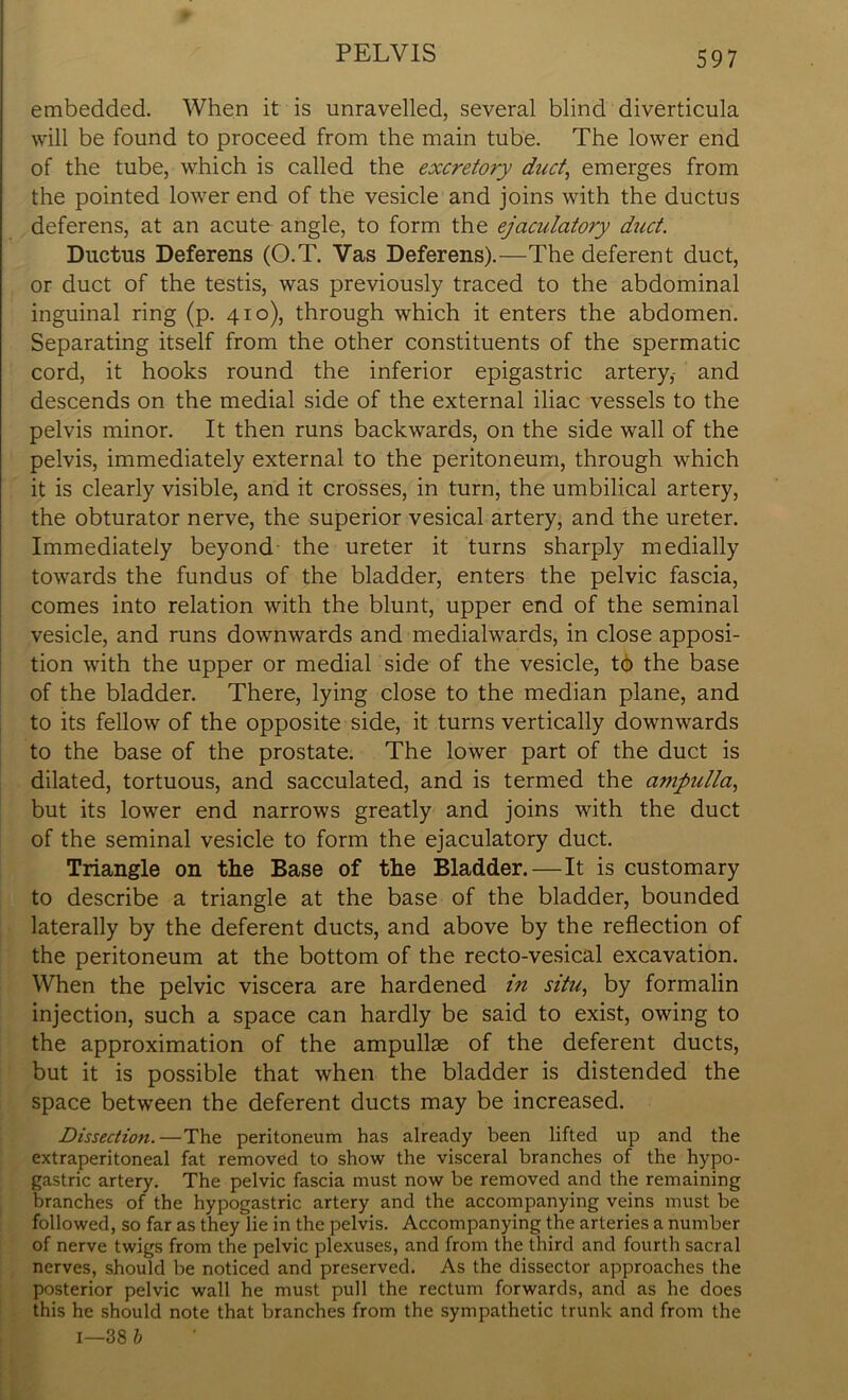 embedded. When it is unravelled, several blind diverticula will be found to proceed from the main tube. The lower end of the tube, which is called the excretory duct, emerges from the pointed lower end of the vesicle and joins with the ductus deferens, at an acute angle, to form the ejaculatory duct. Ductus Deferens (O.T. Vas Deferens).—The deferent duct, or duct of the testis, was previously traced to the abdominal inguinal ring (p. 410), through which it enters the abdomen. Separating itself from the other constituents of the spermatic cord, it hooks round the inferior epigastric artery,- and descends on the medial side of the external iliac vessels to the pelvis minor. It then runs backwards, on the side wall of the pelvis, immediately external to the peritoneum, through which it is clearly visible, and it crosses, in turn, the umbilical artery, the obturator nerve, the superior vesical artery, and the ureter. Immediately beyond the ureter it turns sharply medially towards the fundus of the bladder, enters the pelvic fascia, comes into relation with the blunt, upper end of the seminal vesicle, and runs downwards and medialwards, in close apposi- tion with the upper or medial side of the vesicle, tb the base of the bladder. There, lying close to the median plane, and to its fellow of the opposite side, it turns vertically downwards to the base of the prostate. The lower part of the duct is dilated, tortuous, and sacculated, and is termed the ampulla, but its lower end narrows greatly and joins with the duct of the seminal vesicle to form the ejaculatory duct. Triangle on the Base of the Bladder.—It is customary to describe a triangle at the base of the bladder, bounded laterally by the deferent ducts, and above by the reflection of the peritoneum at the bottom of the recto-vesical excavation. When the pelvic viscera are hardened in situ, by formalin injection, such a space can hardly be said to exist, owing to the approximation of the ampullae of the deferent ducts, but it is possible that when the bladder is distended the space between the deferent ducts may be increased. Dissection.—The peritoneum has already been lifted up and the extraperitoneal fat removed to show the visceral branches of the hypo- gastric artery. The pelvic fascia must now be removed and the remaining branches of the hypogastric artery and the accompanying veins must be followed, so far as they lie in the pelvis. Accompanying the arteries a number of nerve twigs from the pelvic plexuses, and from the third and fourth sacral nerves, should be noticed and preserved. As the dissector approaches the posterior pelvic wall he must pull the rectum forwards, and as he does this he should note that branches from the sympathetic trunk and from the