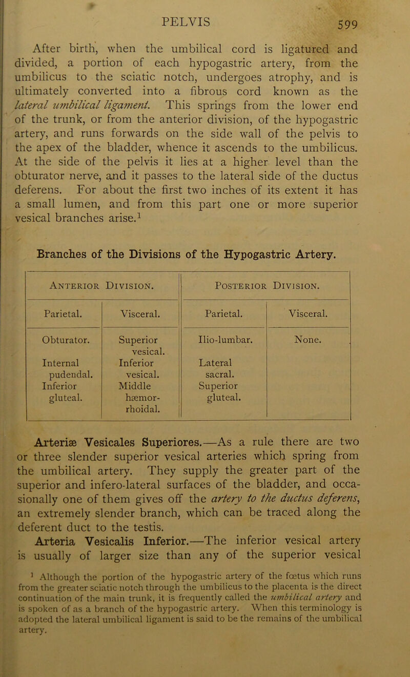 After birth, when the umbilical cord is ligatured and divided, a portion of each hypogastric artery, from the umbilicus to the sciatic notch, undergoes atrophy, and is ultimately converted into a fibrous cord known as the lateral umbilical ligament. This springs from the lower end of the trunk, or from the anterior division, of the hypogastric artery, and runs forwards on the side wall of the pelvis to the apex of the bladder, whence it ascends to the umbilicus. At the side of the pelvis it lies at a higher level than the obturator nerve, and it passes to the lateral side of the ductus deferens. For about the first two inches of its extent it has a small lumen, and from this part one or more superior vesical branches arise.1 Branches of the Divisions of the Hypogastric Artery. Anterior Division. Posterior Division. Parietal. Visceral. Parietal. Visceral. Obturator. Superior vesical. Ilio-lumbar. None. Internal Inferior Lateral pudendal. vesical. sacral. Inferior Middle Superior gluteal. hsemor- rhoidal. gluteal. Arterise Vesicales Superiores.—As a rule there are two or three slender superior vesical arteries which spring from the umbilical artery. They supply the greater part of the superior and infero-lateral surfaces of the bladder, and occa- sionally one of them gives off the artery to the ductus deferens, an extremely slender branch, which can be traced along the deferent duct to the testis. Arteria Vesicalis Inferior.—The inferior vesical artery is usually of larger size than any of the superior vesical 1 Although the portion of the hypogastric artery of the foetus which runs from the greater sciatic notch through the umbilicus to the placenta is the direct continuation of the main trunk, it is frequently called the umbilical artery and is spoken of as a branch of the hypogastric artery. When this terminology is adopted the lateral umbilical ligament is said to be the remains of the umbilical artery.