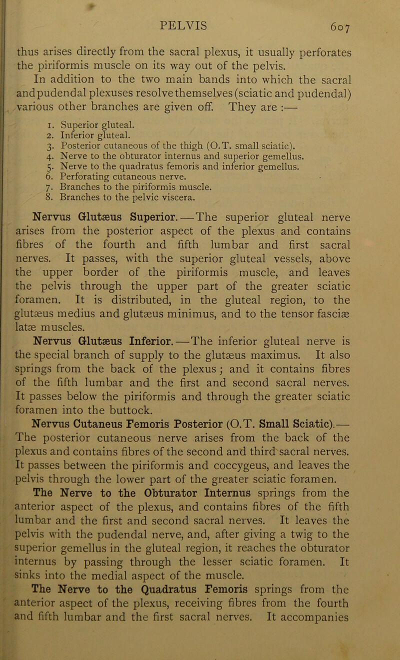 thus arises directly from the sacral plexus, it usually perforates the piriformis muscle on its way out of the pelvis. In addition to the two main bands into which the sacral andpudendal plexuses resolve themselves (sciatic and pudendal) various other branches are given off. They are :— 1. Superior gluteal. 2. Inferior gluteal. 3. Posterior cutaneous of the thigh (O.T. small sciatic). 4. Nerve to the obturator internus and superior gemellus. 5. Nerve to the quadratus femoris and inferior gemellus. 6. Perforating cutaneous nerve. 7. Branches to the piriformis muscle. 8. Branches to the pelvic viscera. Nervus Glutaeus Superior.—The superior gluteal nerve arises from the posterior aspect of the plexus and contains fibres of the fourth and fifth lumbar and first sacral nerves. It passes, with the superior gluteal vessels, above the upper border of the piriformis muscle, and leaves the pelvis through the upper part of the greater sciatic foramen. It is distributed, in the gluteal region, to the glutaeus medius and glutaeus minimus, and to the tensor fasciae latae muscles. Nervus Glutaeus Inferior.—The inferior gluteal nerve is the special branch of supply to the glutaeus maximus. It also springs from the back of the plexus ; and it contains fibres of the fifth lumbar and the first and second sacral nerves. It passes below the piriformis and through the greater sciatic foramen into the buttock. Nervus Cutaneus Femoris Posterior (O.T. Small Sciatic).— The posterior cutaneous nerve arises from the back of the plexus and contains fibres of the second and third sacral nerves. It passes between the piriformis and coccygeus, and leaves the pelvis through the lower part of the greater sciatic foramen. The Nerve to the Obturator Internus springs from the anterior aspect of the plexus, and contains fibres of the fifth lumbar and the first and second sacral nerves. It leaves the pelvis with the pudendal nerve, and, after giving a twig to the superior gemellus in the gluteal region, it reaches the obturator internus by passing through the lesser sciatic foramen. It sinks into the medial aspect of the muscle. The Nerve to the Quadratus Femoris springs from the anterior aspect of the plexus, receiving fibres from the fourth and fifth lumbar and the first sacral nerves. It accompanies