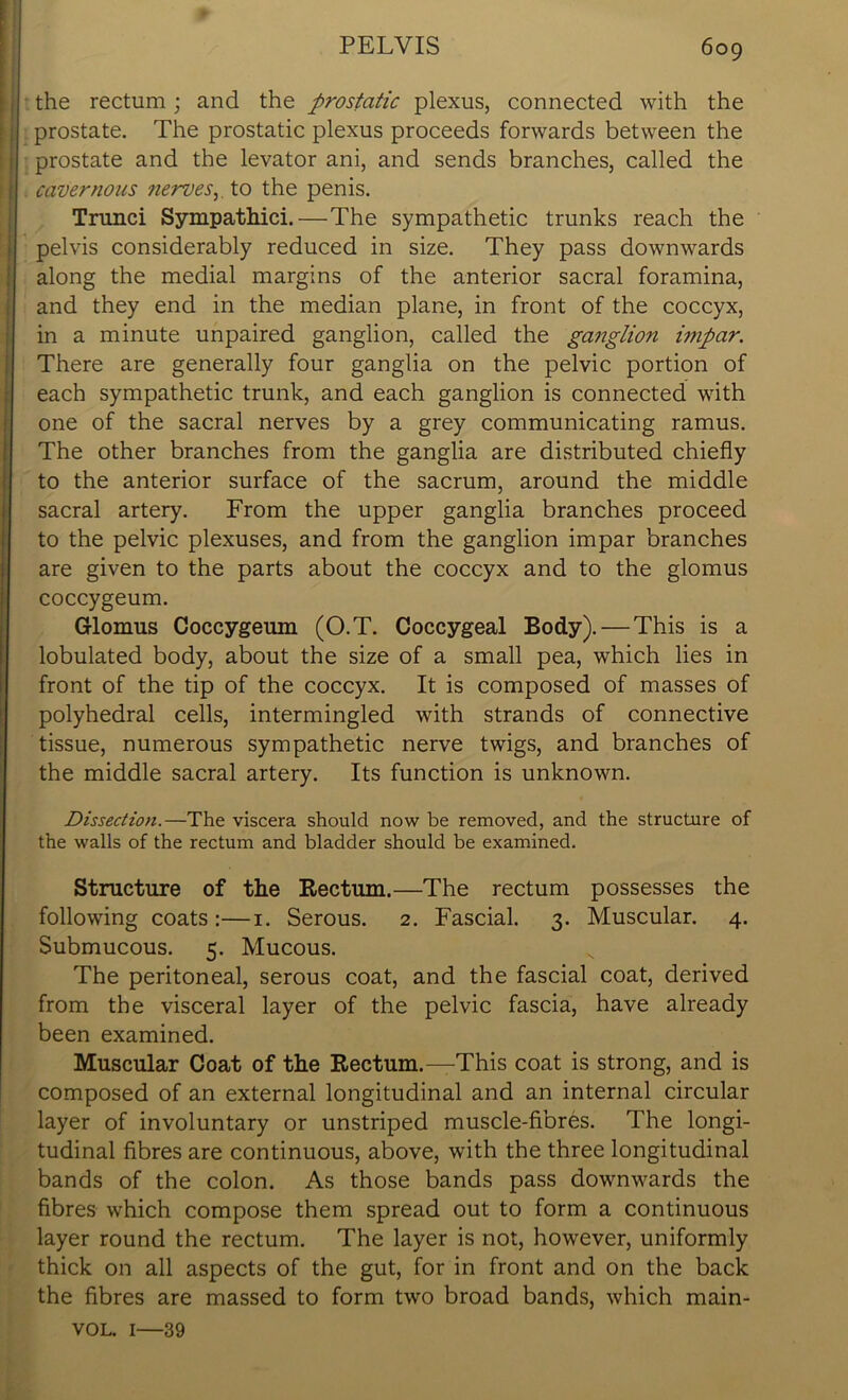 the rectum; and the prostatic plexus, connected with the prostate. The prostatic plexus proceeds forwards between the prostate and the levator ani, and sends branches, called the cavernous nerves,. to the penis. Trunci Sympathici.—The sympathetic trunks reach the pelvis considerably reduced in size. They pass downwards along the medial margins of the anterior sacral foramina, and they end in the median plane, in front of the coccyx, in a minute unpaired ganglion, called the ganglion impar. There are generally four ganglia on the pelvic portion of each sympathetic trunk, and each ganglion is connected with one of the sacral nerves by a grey communicating ramus. The other branches from the ganglia are distributed chiefly to the anterior surface of the sacrum, around the middle sacral artery. From the upper ganglia branches proceed to the pelvic plexuses, and from the ganglion impar branches are given to the parts about the coccyx and to the glomus coccygeum. Glomus Coccygeum (O.T. Coccygeal Body). — This is a lobulated body, about the size of a small pea, which lies in front of the tip of the coccyx. It is composed of masses of polyhedral cells, intermingled with strands of connective tissue, numerous sympathetic nerve twigs, and branches of the middle sacral artery. Its function is unknown. Dissection.—The viscera should now be removed, and the structure of the walls of the rectum and bladder should be examined. Structure of the Rectum.—The rectum possesses the following coats :—1. Serous. 2. Fascial. 3. Muscular. 4. Submucous. 5. Mucous. The peritoneal, serous coat, and the fascial coat, derived from the visceral layer of the pelvic fascia, have already been examined. Muscular Coat of the Rectum.—This coat is strong, and is composed of an external longitudinal and an internal circular layer of involuntary or unstriped muscle-fibres. The longi- tudinal fibres are continuous, above, with the three longitudinal bands of the colon. As those bands pass downwards the fibres which compose them spread out to form a continuous layer round the rectum. The layer is not, however, uniformly thick on all aspects of the gut, for in front and on the back the fibres are massed to form two broad bands, which main- vol. 1—39