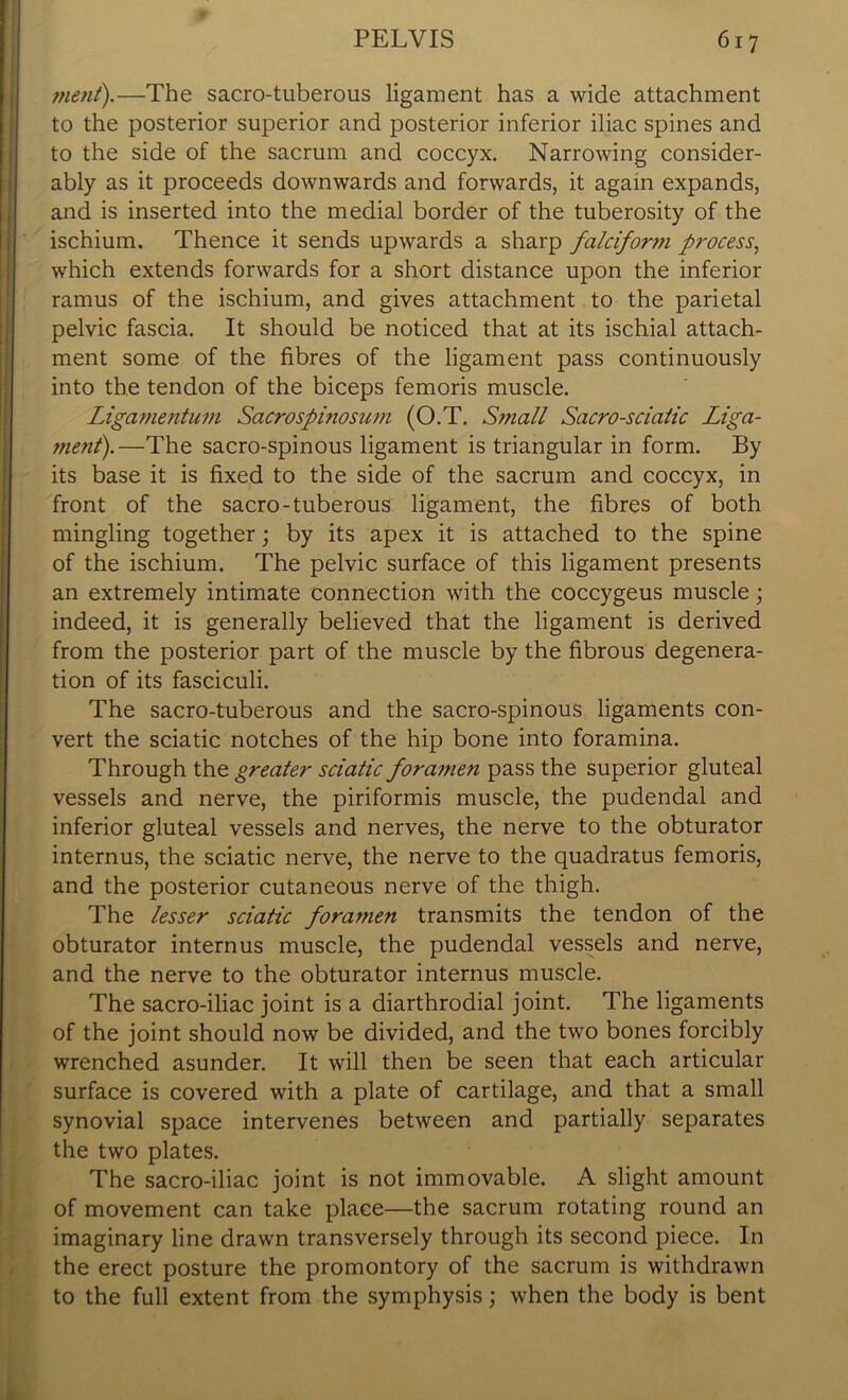 merit).—The sacro-tuberous ligament has a wide attachment to the posterior superior and posterior inferior iliac spines and to the side of the sacrum and coccyx. Narrowing consider- ably as it proceeds downwards and forwards, it again expands, and is inserted into the medial border of the tuberosity of the ischium. Thence it sends upwards a sharp falciform process, which extends forwards for a short distance upon the inferior ramus of the ischium, and gives attachment to the parietal pelvic fascia. It should be noticed that at its ischial attach- ment some of the fibres of the ligament pass continuously into the tendon of the biceps femoris muscle. Ligamentum Sacrospinosum (O.T. Small Sacro-sclalic Liga- ment).—The sacro-spinous ligament is triangular in form. By its base it is fixed to the side of the sacrum and coccyx, in front of the sacro-tuberous ligament, the fibres of both mingling together; by its apex it is attached to the spine of the ischium. The pelvic surface of this ligament presents an extremely intimate connection with the coccygeus muscle; indeed, it is generally believed that the ligament is derived from the posterior part of the muscle by the fibrous degenera- tion of its fasciculi. The sacro-tuberous and the sacro-spinous ligaments con- vert the sciatic notches of the hip bone into foramina. Through the greater sciatic foramen pass the superior gluteal vessels and nerve, the piriformis muscle, the pudendal and inferior gluteal vessels and nerves, the nerve to the obturator internus, the sciatic nerve, the nerve to the quadratus femoris, and the posterior cutaneous nerve of the thigh. The lesser sciatic foramen transmits the tendon of the obturator internus muscle, the pudendal vessels and nerve, and the nerve to the obturator internus muscle. The sacro-iliac joint is a diarthrodial joint. The ligaments of the joint should now be divided, and the two bones forcibly wrenched asunder. It will then be seen that each articular surface is covered with a plate of cartilage, and that a small synovial space intervenes between and partially separates the two plates. The sacro-iliac joint is not immovable. A slight amount of movement can take place—the sacrum rotating round an imaginary line drawn transversely through its second piece. In the erect posture the promontory of the sacrum is withdrawn to the full extent from the symphysis; when the body is bent