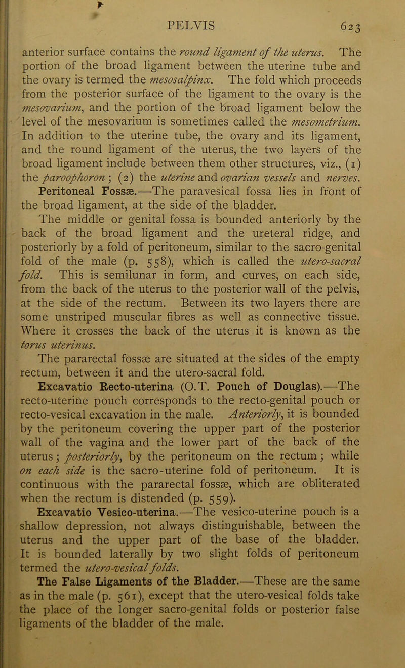 anterior surface contains the round ligament of the uterus. The portion of the broad ligament between the uterine tube and the ovary is termed the ?nesosalpinx. The fold which proceeds from the posterior surface of the ligament to the ovary is the mesovarium, and the portion of the broad ligament below the level of the mesovarium is sometimes called the mesometrium. In addition to the uterine tube, the ovary and its ligament, and the round ligament of the uterus, the two layers of the broad ligament include between them other structures, viz., (1) the paroophoron ; (2) the uterine and ovarian vessels and nerves. Peritoneal Fossae.—The paravesical fossa lies in front of the broad ligament, at the side of the bladder. The middle or genital fossa is bounded anteriorly by the back of the broad ligament and the ureteral ridge, and posteriorly by a fold of peritoneum, similar to the sacro-genital fold of the male (p. 558), which is called the utero-sacral fold. This is semilunar in form, and curves, on each side, from the back of the uterus to the posterior wall of the pelvis, at the side of the rectum. Between its two layers there are some unstriped muscular fibres as well as connective tissue. Where it crosses the back of the uterus it is known as the torus uterinus. The pararectal fossae are situated at the sides of the empty rectum, between it and the utero-sacral fold. Excavatio Recto-uterina (O.T. Pouch, of Douglas).—The recto-uterine pouch corresponds to the recto-genital pouch or recto-vesical excavation in the male. Anteriorly, it is bounded by the peritoneum covering the upper part of the posterior wall of the vagina and the lower part of the back of the uterus; posteriorly, by the peritoneum on the rectum; while on each side is the sacro-uterine fold of peritoneum. It is continuous with the pararectal fossae, which are obliterated when the rectum is distended (p. 559). Excavatio Vesico-uterina.—The vesico-uterine pouch is a shallow depression, not always distinguishable, between the uterus and the upper part of the base of the bladder. It is bounded laterally by two slight folds of peritoneum termed the utero-vesical folds. The False Ligaments of the Bladder.—These are the same as in the male (p. 561), except that the utero-vesical folds take the place of the longer sacro-genital folds or posterior false ligaments of the bladder of the male.