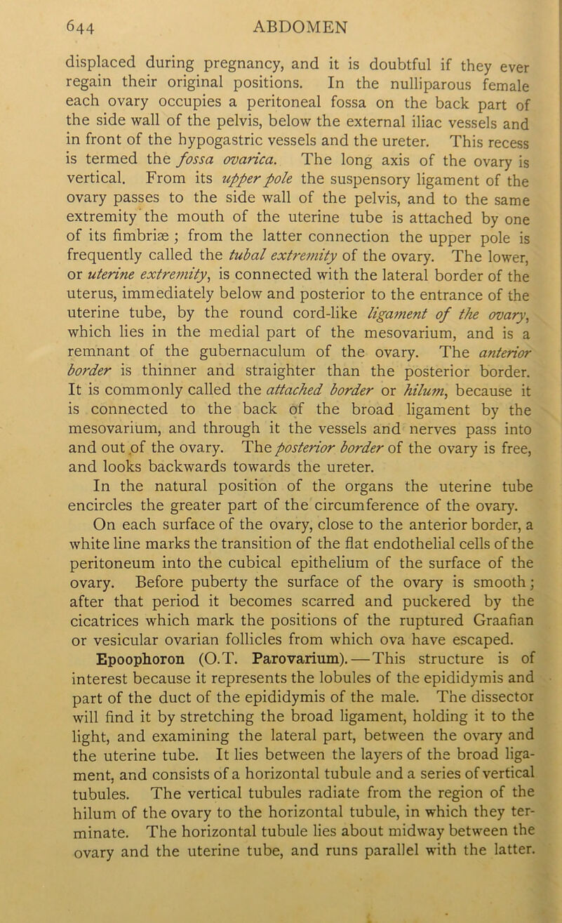 displaced during pregnancy, and it is doubtful if they ever regain their original positions. In the nulliparous female each ovary occupies a peritoneal fossa on the back part of the side wall of the pelvis, below the external iliac vessels and in front of the hypogastric vessels and the ureter. This recess is termed the fossa ovarica. The long axis of the ovary is vertical. From its upper pole the suspensory ligament of the ovary passes to the side wall of the pelvis, and to the same extremity the mouth of the uterine tube is attached by one of its fimbrise ; from the latter connection the upper pole is frequently called the tubal extremity of the ovary. The lower, or uteri?ie extremity, is connected with the lateral border of the uterus, immediately below and posterior to the entrance of the uterine tube, by the round cord-like ligament of the ovary, which lies in the medial part of the mesovarium, and is a remnant of the gubernaculum of the ovary. The anterior boi'der is thinner and straighter than the posterior border. It is commonly called the attached border or hilujn, because it is connected to the back of the broad ligament by the mesovarium, and through it the vessels and nerves pass into and out pf the ovary. The posterior border of the ovary is free, and looks backwards towards the ureter. In the natural position of the organs the uterine tube encircles the greater part of the circumference of the ovary. On each surface of the ovary, close to the anterior border, a white line marks the transition of the flat endothelial cells of the peritoneum into the cubical epithelium of the surface of the ovary. Before puberty the surface of the ovary is smooth; after that period it becomes scarred and puckered by the cicatrices which mark the positions of the ruptured Graafian or vesicular ovarian follicles from which ova have escaped. Epoophoron (O.T. Parovarium).—This structure is of interest because it represents the lobules of the epididymis and part of the duct of the epididymis of the male. The dissector will find it by stretching the broad ligament, holding it to the light, and examining the lateral part, between the ovary and the uterine tube. It lies between the layers of the broad liga- ment, and consists of a horizontal tubule and a series of vertical tubules. The vertical tubules radiate from the region of the hilum of the ovary to the horizontal tubule, in which they ter- minate. The horizontal tubule lies about midway between the ovary and the uterine tube, and runs parallel with the latter.
