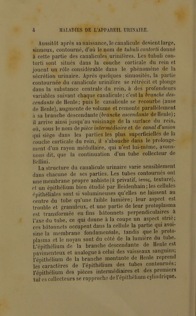 Aussitôt après sa naissance, le canalicule devient large, sinueux, contourné, d’où le nom de tubuli contorli donné à cette partie des canalicules urinifères. Les tubuli con- torti sont situés dans la couche corticale du rein et jouent un rôle considérable dans le phénomène de la sécrétion urinaire. Après quelques sinuosités, la partie contournée du canalicule urinil'ère se rétrécit et plonge dans la substance centrale du rein, à des profondeurs variables suivant chaque canalicule ; c’est la branche des- cendante de Henle; puis le canalicule se recourbe (anse de Ilenle), augmente de volume et remonte parallèlement à sa branche descendante (&ranc/je ascendante de Henle); il arrive ainsi jusqu’au voisinage de la surface du rein, où, sous le nom depièce intermédiaire et de canal d’union qui siège dans les parties les plus superficielles de la couche corticale du rein, il s’abouche dans le prolonge- ment d’un rayon médullaire, qui n’est lui-même, avous- iious dit, que la continuation d’un tube collecteur de Bellini. La structure du canalicule urinaire varie sensiblement dans chacune de ses parties. Les tubes contournés ont une membrane propre anhiste(à privatif, îa-coç, texture), et un épithélium bien étudié par lleidenhain ; les cellules épithéliales sont si volumineuses qu’elles ne laissent au centre du tube qu’une faible lumière; leur aspect est trouble et granuleux, et une partie de leur proloplasma est transformée en fins bâtonnets perpendiculaires à l’axe du tube, ce qui donne à la coupe un aspect strié ; ces bâtonnets occupent dans la cellule la partie qui avoi- sine la membrane fondamentale, tandis que le proto- plasma et le noyau sont du côté de la lumière du tube. L’épithélium de la branche descendante de Henle est pavimenteux et analogue à celui des vaisseaux sanguins; l’épitliélium de la branche montante de Henle reprend les caractères de l’épithélium des tubes contournes; l’épithélium des pièces intermédiaires et des premiers tul es collecteurs se rapproche de l’épilhélium cylindrique.