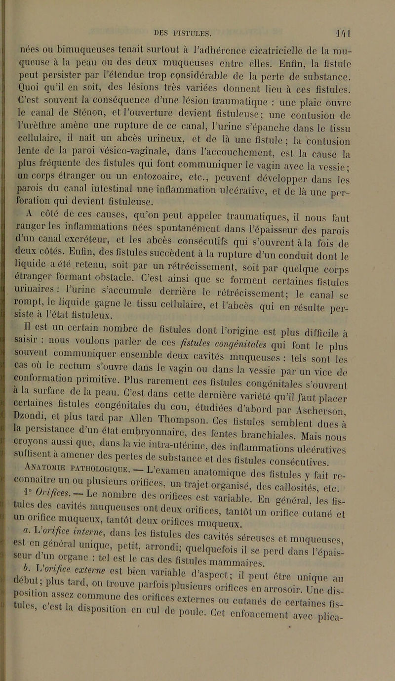 nées ou bimuqueuses tenait surtout à l’adhérence cicatricielle de la mu- queuse à la peau ou des deux muqueuses entre elles. Enfin, la fistule peut persister par l’étendue trop considérable de la perte de substance. Quoi qu’il en soit, des lésions très variées donnent lieu à ces fistules. C’est souvent la conséquence d’une lésion traumatique : une plaie ouvre le canal de Sténon, et l’ouverture devient fistuleuse; une contusion de l’urèthre amène une rupture de ce canal, l’urine s’épanche dans le tissu cellulaire, il naît un abcès urineux, et de la une fistule 5 la contusion lente de la paroi vésico-vaginale, dans l’accouchement, est la cause la plus fréquente des fistules qui font communiquer le vagin avec la vessie • un corps étranger ou un entozoaire, etc., peuvent développer dans les parois du canal intestinal une inflammation ulcérativc, et de là une per- foration qui devient fistuleuse. A côté de ces causes, qu’on peut appeler traumatiques, il nous faut ranger les inflammations nées spontanément dans l’épaisseur des parois d’un canal excréteur, et les abcès consécutifs qui s’ouvrent à la fois de deux côtés. Enfin, des fistules succèdent à la rupture d’un conduit dont le liquide a été retenu, soit par un rétrécissement, soit par quelque corps étranger formant obstacle. C’est ainsi que se forment certaines fistules urinaires : 1 urine s’accumule derrière le rétrécissement; le canal se rompt, le liquide gagne le tissu cellulaire, et l’abcès qui en résulte ner- siste à l’état fistuleux. 1 Il est un certain nombre de fistules dont l’origine est plus difficile à saisir : nous voulons parler de ces fistules congénitales qui font le plus souvent communiquer ensemble deux cavités muqueuses : tels sont les cas où le rectum s’ouvre dans le vagin ou dans la vessie par un vice de conformation primitive. Plus rarement ces fistules congénitales s’ouvrent a la surface de la peau. C’est dans cette dernière variété qu’il faut placer certaines fistules congénitales du cou, étudiées d’abord par Ascherson Dzondi, cl plus tard par Allen Thompson. Ces fistules semblent dues à la persistance d’un état embryonnaire, des fentes branchiales. Mais nous oyons aussi que, dans la vie intra-utérine, des inflammations ulcéraüves sulfisenl a amener des pertes de substance et des fistules consécutives Anatomie pathologique. — L’examen anatomique des fistules y fait re- To'ife” °U f T 0t“m’ U traJel organisé, des callosités, etc. Ji ifices. Le nombre des orifices est variable. En général les fis- tulcs (les cavités muqueuses ont deux orifices, tantôt un orifice cutané et un or,fiée muqueux, tantôt deux orifices muqueux «t cnûé£’u^'’ danS,-!eS *S,U1“ <les cav*iés séreuses et muqueuses, ‘ 1(ïuc’ l)ctlt, arrondi; quelquefois il se perd dans l’émis scur d-un organe : tel es, le cas des fistules mammaires ‘ déhn, T™P CS‘ bicn ™riaWe d’aspect; il peut être unique au »mÜin,.Pr ’ ° lr°T Parfois plusieurs orifices en arrosoir. Une dis- u rr, n rrr,lcs oriicr ~ «■ ~ <■« . 0 est la disposition en cul de poule. Ccl enfoncement avec plica-