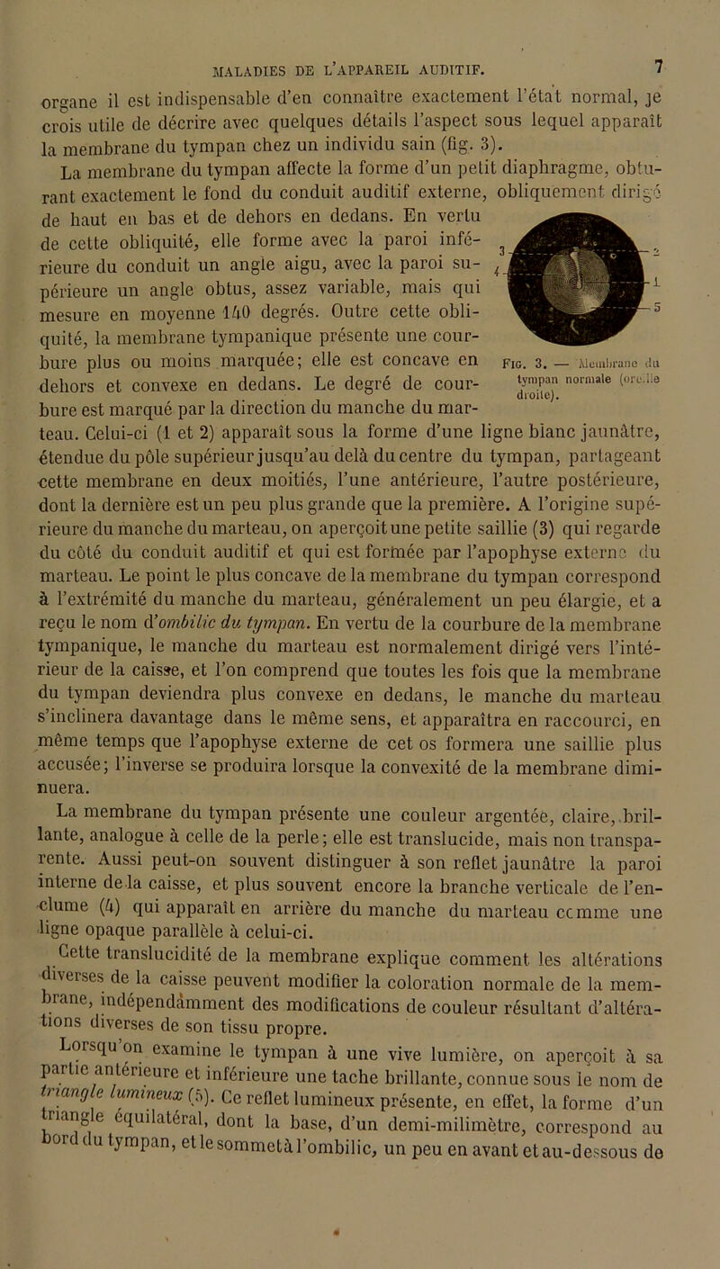 organe il est indispensable d’en connaître exactement l’état normal, je crois utile de décrire avec quelques détails l’aspect sous lequel apparaît la membrane du tympan chez un individu sain (fig. 3). La membrane du tympan affecte la forme d’un pelit diaphragme, obtu- rant exactement le fond du conduit auditif externe, obliquement dirigé de haut en bas et de dehors en dedans. En vertu de cette obliquité, elle forme avec la paroi infé- rieure du conduit un angle aigu, avec la paroi su- périeure un angle obtus, assez variable, mais qui mesure en moyenne 140 degrés. Outre cette obli- quité, la membrane tympanique présente une cour- bure plus ou moins marquée; elle est concave en dehors et convexe en dedans. Le degré de cour- bure est marqué par la direction du manche du mar- teau. Celui-ci (1 et 2) apparaît sous la forme d’une ligne blanc jaunâtre, étendue du pôle supérieur jusqu’au delà du centre du tympan, partageant cette membrane en deux moitiés, l’une antérieure, l’autre postérieure, dont la dernière est un peu plus grande que la première. A l’origine supé- rieure du manche du marteau, on aperçoit une petite saillie (3) qui regarde du côté du conduit auditif et qui est formée par l’apophyse externe du marteau. Le point le plus concave de la membrane du tympan correspond à l’extrémité du manche du marteau, généralement un peu élargie, et a reçu le nom à’ombilic du tympan. En vertu de la courbure de la membrane tympanique, le manche du marteau est normalement dirigé vers l’inté- rieur de la caisse, et l’on comprend que toutes les fois que la membrane du tympan deviendra plus convexe en dedans, le manche du marteau s’inclinera davantage dans le même sens, et apparaîtra en raccourci, en même temps que l’apophyse externe de cet os formera une saillie plus accusée; 1 inverse se produira lorsque la convexité de la membrane dimi- nuera. La membrane du tympan présente une couleur argentée, claire, bril- lante, analogue à celle de la perle; elle est translucide, mais non transpa- rente. Aussi peut-on souvent distinguer à son reflet jaunâtre la paroi interne de la caisse, et plus souvent encore la branche verticale de l’en- clume (4) qui apparaît en arrière du manche du marteau ccmme une ligne opaque parallèle à celui-ci. Cette translucidité de la membrane explique comment les altérations du erses de la caisse peuvent modifier la coloration normale de la mem- nanc, indépendamment des modifications de couleur résultant d’altéra- tions diverses de son tissu propre. Lorsqu on examine le tympan à une vive lumière, on aperçoit à sa partie antérieure et inférieure une tache brillante, connue sous le nom de narujle lumineux (5). Ce reflet lumineux présente, en effet, la forme d’un nang e équilatéral, dont la base, d’un demi-milimètre, correspond au orc i u tympan, etlesommetàTombilic, un peu en avant et au-dessous de Fig. 3. — 'Membrane du tympan normale (ore.ile droite).