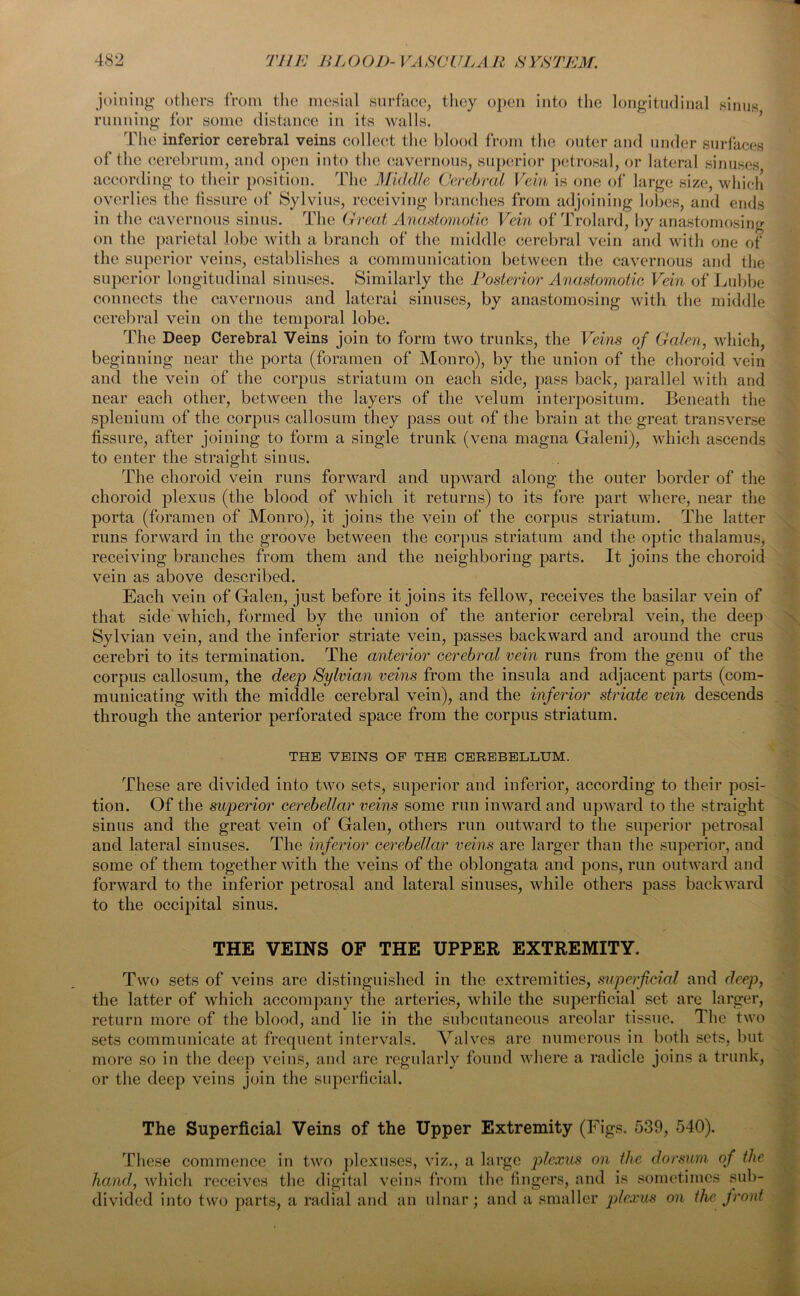 joining others from the mesial surface, they open into the longitudinal sinus running for some distance in its walls. The inferior cerebral veins collect the blood from the outer and under surfaces of the cerebrum, and open into the cavernous, superior petrosal, or lateral sinuses according to their position. The Middle Cerebral Vein is one of large size, which overlies the fissure of Sylvius, receiving branches from adjoining lobes, and ends in the cavernous sinus. The Great Anastomotic Vein of Trolard, by on the parietal lobe with a branch of the middle cerebral vein am the superior veins, establishes a communication between the cavernous and the superior longitudinal sinuses. Similarly the Posterior Anastomotic Vein of Lubbe connects the cavernous and lateral sinuses, by anastomosing with the middle cerebral vein on the temporal lobe. The Deep Cerebral Veins join to form two trunks, the Veins of Galen, which, beginning near the porta (foramen of Monro), by the union of the choroid vein and the vein of the corpus striatum on each side, pass back, parallel with and near each other, between the layers of the velum interposition. Beneath the splenium of the corpus callosum they pass out of the brain at the great transverse fissure, after joining to form a single trunk (vena magna Galeni), which ascends to enter the straight sinus. The choroid vein runs forward and upward along the outer border of the choroid plexus (the blood of which it returns) to its fore part where, near the porta (foramen of Monro), it joins the vein of the corpus striatum. The latter runs forward in the groove between the corpus striatum and the optic thalamus, receiving branches from them and the neighboring parts. It joins the choroid vein as above described. Each vein of Galen, just before it joins its fellow, receives the basilar vein of that side which, formed by the union of the anterior cerebral vein, the deep Sylvian vein, and the inferior striate vein, passes backward and around the crus cerebri to its termination. The anterior cerebral vein runs from the genu of the corpus callosum, the deep Sylvian veins from the insula and adjacent parts (com- municating with the middle cerebral vein), and the inferior striate vein descends through the anterior perforated space from the corpus striatum. THE VEINS OF THE CEREBELLUM. These are divided into two sets, superior and inferior, according to their posi- tion. Of the superior cerebellar veins some run inward and upward to the straight sinus and the great vein of Galen, others run outward to the superior petrosal and lateral sinuses. The inferior cerebellar veins are larger than the superior, and some of them together with the veins of the oblongata and pons, run outward and forward to the inferior petrosal and lateral sinuses, while others pass backward to the occipital sinus. THE VEINS OF THE UPPER EXTREMITY. Two sets of veins are distinguished in the extremities, superficial and deep, the latter of which accompany the arteries, while the superficial set are larger, return more of the blood, and lie iii the subcutaneous areolar tissue. The two sets communicate at frequent intervals. Valves are numerous in both sets, but more so in the deep veins, and are regularly found where a radicle joins a trunk, or the deep veins join the superficial. The Superficial Veins of the Upper Extremity (Figs. 539, 540). These commence in two plexuses, viz., a large plexus on the dorsum of the hand, which receives the digital veins from the fingers, and is sometimes sub- divided into two parts, a radial and an ulnar; and a smaller plexus on the front anastomosing 1 with one of