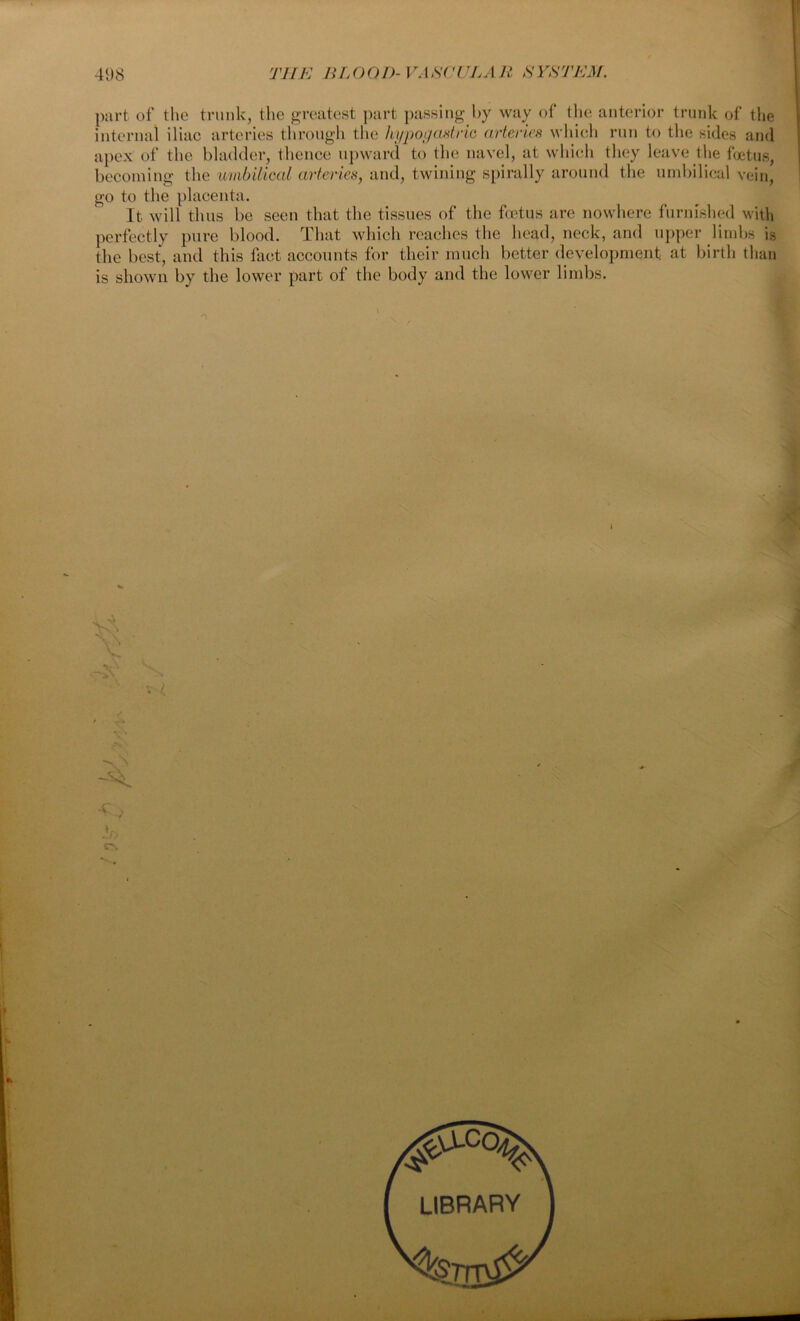 part of the trunk, the greatest part passing by way of the anterior trunk of the internal iliac arteries through the hypogastric arteries which run to the sides and apex of the bladder, thence upward to the navel, at which they leave the foetus, becoming the umbilical arteries, and, twining spirally around the umbilical vein, go to the placenta. It will thus be seen that the tissues of the foetus are nowhere furnished with perfectly pure blood. That which reaches the head, neck, and upper limbs is the best, and this fact accounts for their much better development at birth than is shown by the lower part of the body and the lower limbs. i Vs v 4 C%