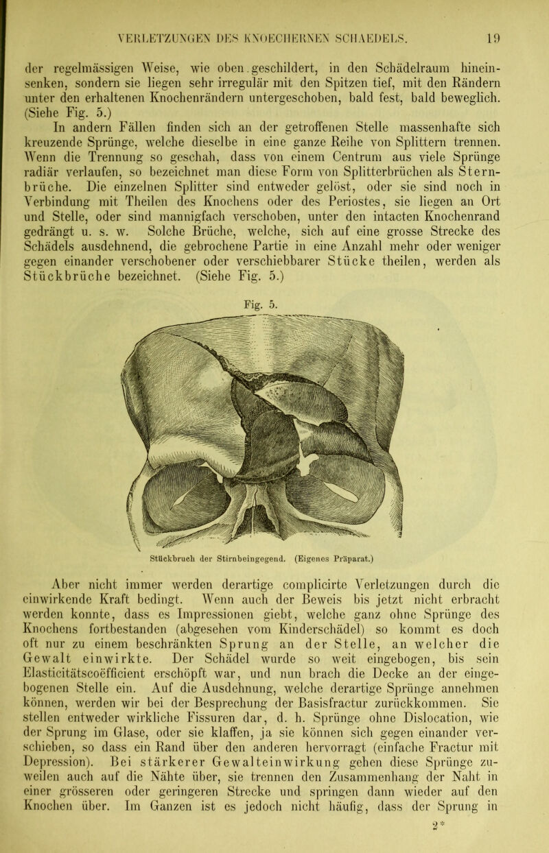 der regelmässigen Weise, wie oben .geschildert, in den Schädelraum hinein- senken, sondern sie liegen sehr irregulär mit den Spitzen tief, mit den Rändern unter den erhaltenen Knochenrändern untergeschoben, bald fest, bald beweglich. (Siehe Fig. 5.) In andern Fällen finden sich an der getroffenen Stelle massenhafte sich kreuzende Sprünge, welche dieselbe in eine ganze Reihe von Splittern trennen. Wenn die Trennung so geschah, dass von einem Centrum aus viele Sprünge radiär verlaufen, so bezeichnet man diese Form von Splitterbrüchen als Stern- brüche. Die einzelnen Splitter sind entweder gelöst, oder sie sind noch in Verbindung mit Theilen des Knochens oder des Periostes, sie liegen an Ort und Stelle, oder sind mannigfach verschoben, unter den intacten Knochenrand gedrängt u. s. w. Solche Brüche, welche, sich auf eine grosse Strecke des Schädels ausdehnend, die gebrochene Partie in eine Anzahl mehr oder weniger gegen einander verschobener oder verschiebbarer Stücke theilen, werden als Stückbrüche bezeichnet. (Siehe Fig. 5.) Aber nicht immer werden derartige complicirte Verletzungen durch die cinwirkende Kraft bedingt. Wenn auch der Beweis bis jetzt nicht erbracht werden konnte, dass es Impressionen giebt, welche ganz ohne Sprünge des Knochens fortbestanden (abgesehen vom Kinderschädel) so kommt es doch oft nur zu einem beschränkten Sprung an der Stelle, an welcher die Gewalt einwirkte. Der Schädel wurde so weit eingebogen, bis sein Elasticitätscoefficient erschöpft war, und nun brach die Decke an der einge- bogenen Stelle ein. Auf die Ausdehnung, welche derartige Sprünge annehmen können, werden wir bei der Besprechung der Basisfractur zurückkommen. Sie stellen entweder wirkliche Fissuren dar, d. h. Sprünge ohne Dislocation, wie der Sprung im Glase, oder sie klaffen, ja sie können sich gegen einander ver- schieben, so dass ein Rand über den anderen hervorragt (einfache Fractur mit Depression). Bei stärkerer Gewalteinwirkung gehen diese Sprünge zu- weilen auch auf die Nähte über, sie trennen den Zusammenhang der Naht in einer grösseren oder geringeren Strecke und springen dann wieder auf den Knochen über. Im Ganzen ist es jedoch nicht häufig, dass der Sprung in Fig. 5. Stückbruch der Stirnbeingegend. (Eigenes Präparat.)