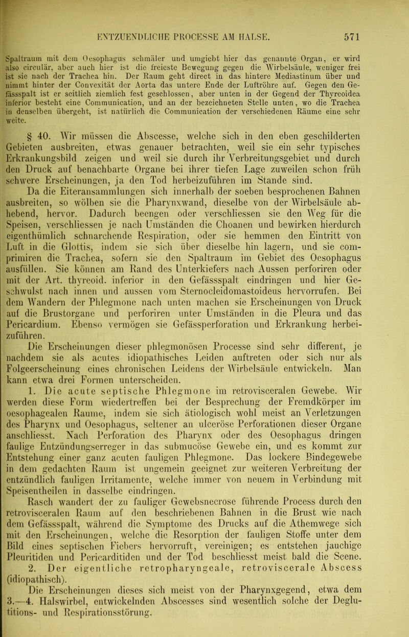 Spaltrauin mit dem Oesophagus schmäler und umgiebt hier das genannte Organ, er wird also circular, aber auch hier ist die freieste Bewegung gegen die Wirbelsäule, weniger frei ist sie nach der Trachea hin. Der Raum geht direct in das hintere Mediastinum über und nimmt hinter der Convexität der Aorta das untere Ende der Luftröhre auf. Gegen den Ge- fdssspalt ist er seitlich ziemlich fest geschlossen, aber unten in der Gegend der Thyreoidea inferior besteht eine Communication, und an der bezeichneten Stelle unten, wo die Trachea in denselben übergeht, ist natürlich die Communication der verschiedenen Räume eine sehr weite. § 40. Wir müssen die Abscesse, welche sich in den eben geschilderten Gebieten ausbreiten, etwas genauer betrachten, weil sie ein sehr typisches Erkrankungsbild zeigen und weil sie durch ihr Verbreitungsgebiet und durch den Druck auf benachbarte Organe bei ihrer tiefen Lage zuweilen schon früh schwere Erscheinungen, ja den Tod herbeizuführen im Stande sind. Da die Eiteransammlungen sich innerhalb der soeben besprochenen Bahnen ausbreiten, so wölben sie die Pharynxwand, dieselbe von der Wirbelsäule ab- hebend, hervor. Dadurch beengen oder verschliessen sie den Weg für die Speisen, verschliessen je nach Umständen die Choanen und bewirken hierdurch eigenthümlich schnarchende Respiration, oder sie hemmen den Eintritt von Luft in die Glottis, indem sie sich über dieselbe hin lagern, und sie com- primiren die Trachea, sofern sie den Spaltraum im Gebiet des Oesophagus ausfüllen. Sie können am Rand des Unterkiefers nach Aussen perforiren oder mit der Art. thyreoid. inferior in den Gefässspalt eindringen und hier Ge- schwulst nach innen und aussen vom Sternocleidomastoideus hervorrufen. Bei dem Wandern der Phlegmone nach unten machen sie Erscheinungen von Druck auf die Brustorgane und perforiren unter Umständen in die Pleura und das Pericardium. Ebenso vermögen sie Gefässperforation und Erkrankung herbei- zuführen. Die Erscheinungen dieser phlegmonösen Processe sind sehr different, je nachdem sie als acutes idiopathisches Leiden auftreten oder sich nur als Folgeerscheinung eines chronischen Leidens der Wirbelsäule entwickeln. Man kann etwa drei Formen unterscheiden. 1. Die acute septische Phlegmone im retrovisceralen Gewebe. Wir werden diese Form wiedertreffen bei der Besprechung der Fremdkörper im oesophagealen Raume, indem sie sich ätiologisch wohl meist an Verletzungen des Pharynx und Oesophagus, seltener an ulceröse Perforationen dieser Organe anschliesst. Nach Perforation des Pharynx oder des Oesophagus dringen faulige Entzündungserreger in das submucöse Gewebe ein, und es kommt zur Entstehung einer ganz acuten fauligen Phlegmone. Das lockere Bindegewebe in dem gedachten Raum ist ungemein geeignet zur weiteren Verbreitung der entzündlich fauligen Irritamente, welche immer von neuem in Verbindung mit Speisentheilen in dasselbe eindringen. Rasch wandert der zu fauliger Gewebsnecrose führende Process durch den retrovisceralen Raum auf den beschriebenen Bahnen in die Brust wie nach dem Gefässspalt, während die Symptome des Drucks auf die Athemwege sich mit den Erscheinungen, welche die Resorption der fauligen Stoffe unter dem Bild eines septischen Fiebers hervorruft, vereinigen; es entstehen jauchige Pleuritiden und Pcricarditiden und der Tod beschliesst meist bald die Scene. 2. Der eigentliche retropharyngeale, retroviscerale Abscess (idiopathisch). Die Erscheinungen dieses sich meist von der Pharynxgegend, etwa dem 3.—4. Halswirbel, entwickelnden Abscesses sind wesentlich solche der Deglu- titions- und Respirationsstörung.