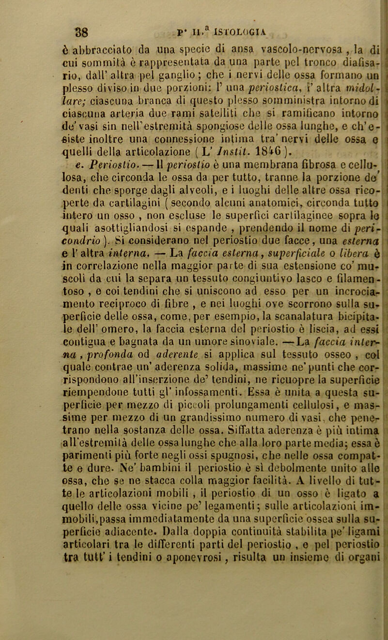 è abbracciato da una specie di ansa vascolo-ncrvosa , la di' | cui sommità è rappresentata da una parte pel tronco diafisa- I rio, dall’ altra pel ganglio ; che i nervi delle ossa formano un plesso diviso in due porzioni: I’ una perioslica, ì’ altra midol- lare; ciascuna branca di questo plesso somministra intorno di ciascuna arteria due rami satelliti che si ramilicano intorno i de’vasi sin neirestremità spongiose delle ossa lunghe, e ch’e- i «iste inoltre una connessione intima tra’ nervi delle ossa e \ quelli della articolazione ( L’ Jnstit. 1846 ). €. Pp'iostio. —11 periostio è una membrana fibrosa e cellu- ! Iosa, che circonda le ossa da per tutto, tranne la porzione do’ | denti che sporge dagli alveoli, e i luoghi delle altre ossa rico- I perte da cartilagini ( secondo alcuni anatomici, circonda tutto | intero un osso , non escluse le superfici cartilaginee sopra lo i quali asottigliandosi si espande , prendendo il nome di peri- ■. condrio ). Si considerano nel periostio due facce, una esterna \ e r altra interna. — La faccia esterna, superficiale o libera è in correlazione nella maggior parte di sua estensione co’ mu- scoli da cui la separa un tessuto congiuntivo lasco e filamen- toso , e coi tendini che si uniscono ad esso per un incrocia- mento reciproco di fibre , e nei luoghi ove scorrono sulla su- perficie delle ossa, come, per esempio, la scanalatura bicipita- ; le dell’ omero, la faccia esterna del periostio è liscia, ad essi contigua e bagnata da un umore sinoviale. —La faccia inter- na , profonda od aderente si applica sul tessuto osseo , col quale contrae un’ aderenza solida, massime ne’punti che cor- rispondono all’inserzione de’ tendini, ne ricuopre la superficie riempendone tutti gl' infossamenti. Essa è unita a questa su- perficie per mezzo di piccoli prolungamenti cellulosi, e mas- sime per mezzo di un grandissimo numero di vasi, che pene- trano nella sostanza delle ossa. Siffatta aderenza è più intima albestremità delle ossa lunghe che alla loro parte mediaj essa è parimenti più forte negli ossi spugnosi, che nelle ossa compat- te e dure. Ne’ bambini il periostio è si debolmente unito alle ossa, che se ne stacca colla maggior facilità. A livello di tut- te le articolazioni mobili , il periostio di un osso è ligato a quello delle ossa vicine pe’ legamenti; sulle articolazioni im- mobili,passa immediatamente da una superficie ossea sulla su- perficie adiacente. Dalla doppia continuità stabilita pe’ ligami articolari tra le differenti parti del periostio , e pel periostio tra tutt’ i tendini o aponevrosì, risulta un insieme di organi