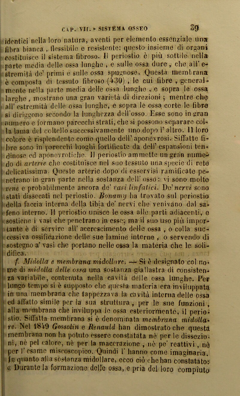 identici nella loro natura, aventi per elemento essenziale un» fibra bianca , llessibilo e resistente: questo insieme di organi costituisce il sistema fibroso. Il periostio è più sottile nella parte media delle ossa lunghe , e sulle ossa dure , che all’ e- stremità de’ primi e sulle ossa spugnose. Questa membrana è composta di tessuto fibroso (^30) , le cui fibre , general- mente nella parte media delle ossa lunghe , e sopra le ossa larghe , mostrano una gran varietà di direzioni 5 mentre che all’ estremità delle ossa lunghe, e sopra le ossa corte le fibre si diriggono secondo la lunghezza dell’osso. Esse sono in gran numero e formano parecchi strati, che si possono separare col- la lama del coltello successivamente uno dopo 1’ altro, il loro colore è risplendente corno quello dell’aponevrosi. SifTatte fi- bre sono in parecchi luoghi fortificate da dell’ espansioni len- dinose ed aponevroticlje. Il periostio ammette un gran nume-^ do di arterie c!>e costituisce nei suo tessuto una specie di rete delicatissima. Queste arterie dopo di esservisi ramificate pe- netrano in gran parte nella sostanza dell’ osso: vi sono molte vene e probabilmente ancora de’ rasi linfatici. De’neri'/ sono stati dissecati nel periostio. Bonamij ha trovato sul periostio della faccia interna della tibia de’ nervi che venivano dal sa- feno interno. Il periostio unisce le ossa allo parti adiacenti, e sostiene i vasi che penetrano in essoy ma il suo uso più impor- tante è di servire all’ accrescimento delle ossa , 0 colla suc- cessiva ossificazione delle sue lamine interne , o servendo di sostegno a’ vasi che portano nelle ossa la materia ohe le soli- difica. f. Midolla c membrana midollare. ~ Si è designato col no- me di midolla delle ossa una sostanza giallastra di consisten- za variabile, contenuta nella cavità delle ossa lunghe. Fer lungo tempo si è supposto che questa materia era inviluppata in una membrana che tappezzava la cavità interna delle ossa ed affatto simile per la sua struttura , per le sue funzioni , alla membrana che inviluppa le ossa esteriormente, il perio- stio. Siffatta membrana si è denominata membrana midolla- re. Nel I8i9 GossoLin e Renauld han dimostrato che questa membrana non ha potuto essere constatata nè per le dissezio- ni, nè pel calore, nè per la macerazione , nè pe’ reattivi , nò per l’esame miscoscopico. Quindi 1’ hanno come imaginaria. In quanto alla sostanza midollare, ecco ciò che han constatato*: « Durante la formazione delle ossa, e pria del loro compiuto
