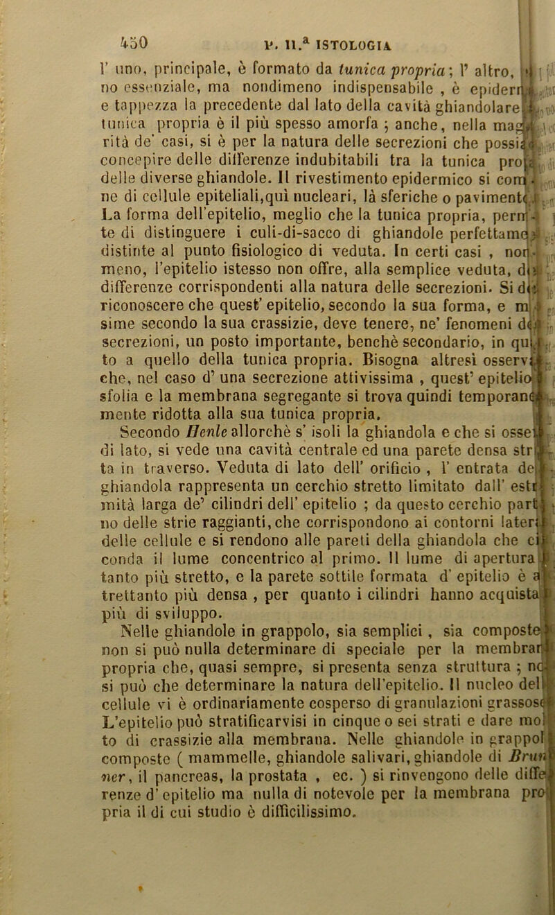 r lino, principale, è formato da tunica 'propria', 1’ altro, l;l no essenziale, ma nondimeno indispensabile , è epidern;é , e tappezza la precedente dal lato della cavità ghiandolare, i r tunica propria è il più spesso amorfa ; anche, nella ma Mi rità de’ casi, si è per la natura delle secrezioni che possila \[ concepire delle dilFerenze indubitabili tra la tunica proia delle diverse ghiandole. Il rivestimento epidermico si coni? ne di cellule epiteliali,qui nucleari, là sferiche o pavimentc ,i La forma deH’epitelio, meglio che la tunica propria, perrr- ' tedi distinguere i culi-di-sacco di ghiandole perfettamo distinte al punto fisiologico di veduta. In certi casi , nor. meno, l’epitelio istesso non offre, alla semplice veduta, dU : differenze corrispondenti alla natura delle secrezioni. Sidiil riconoscere che quest’epitelio, secondo la sua forma, e mj'^ sime secondo la sua crassizie, deve tenere, ne’ fenomeni éii} . secrezioni, un posto importante, benché secondario, in quU; to a quello della tunica propria. Bisogna altresì osserva.. che, nel caso d’ una secrezione attivissima , quest’epiteliomi sfolla e la membrana segregante si trova quindi teraporan^ mente ridotta alla sua tunica propria. Secondo allorché s’isoli la ghiandola e che si ossei di lato, si vede una cavità centrale ed una parete densa stri ta in traverso. Veduta di lato dell’ orificio , 1’ entrata dej ghiandola rappresenta un cerchio stretto limitato dall' esti mità larga de’ cilindri dell’ epitelio ; da questo cerchio part no delle strie raggianti,che corrispondono ai contorni laten^. delle cellule e si rendono alle pareli della ghiandola che ci conda il lume concentrico al primo. Il lume di apertura^ tanto più stretto, e la parete sottile formata d’ epitelio é à trettanto più densa , per quanto i cilindri hanno acquistai più di sviluppo. Nelle ghiandole in grappolo, sia semplici, sia composte, non si può nulla determinare di speciale per la membrar | propria che, quasi sempre, si presenta senza struttura ; nc si può che determinare la natura deU’epitelio. Il nucleo del) cellule vi é ordinariamente cosperso di granulazioni grassos L’epitelio può stratificarvisi in cinque o sei strati e dare moU to di crassizie alla membrana. Nelle ghiandole in grappol composte ( mammelle, ghiandole salivari, ghiandole di Bnin ner, il pancreas, la prostata , ec. ) si rinvengono delle diffr^ renze d’epitelio ma nulla di notevole per la membrana pr pria il di cui studio è difficilissimo. I