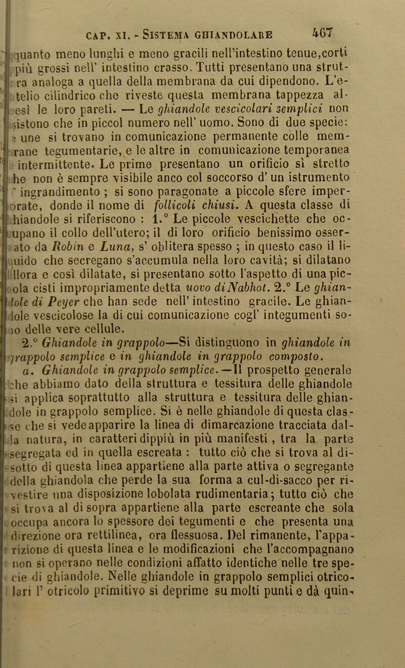 ì j CàP. XI. - Sistema ghundolabe luanto meno lunghi e meno gracili neirintestino tenue,corti più grossi nell’ intestino crasso. Tutti presentano una strut- : ra analoga a quella della membrana da cui dipendono. L’e- ;.telio cilindrico che riveste questa membrana tappezza al- esi le loro pareti. — Le ghiandole vescicolari semplici non iistono che in piccol numero nell’ uomo. Sono di due specie: ! une si trovano in comunicazione permanente colle mem- rane tegumentarie, e le altre in comunicazione temporanea intermittente. Le prime presentano un orificio sì stretto he non è sempre visibile anco col soccorso d’un istrumento ■ ingrandimento ; si sono paragonate a piccole sfere imper- orate, donde il nome di follicoli chiusi, A questa classe di Ghiandole si riferiscono : l.° Le piccole vescichette che oc- cupano il collo dell’utero; il di loro orificio benissimo osser- . ato da Robin e Luna, s’ oblitera spesso ; in questo caso il li- uido che secregano s’accumula nella loro cavità; si dilatano i Mora e così dilatate, si presentano sotto l’aspetto di una pic- cola cisti impropriamente detta uovo diNabhot. 2.° Le ghian- dole di Pcyer che han sede nell’ intestino gracile. Le ghian- dole vescicolose la di cui comunicazione cogl’ integumenti so- ■ 10 delle vere cellule, 2.® Ghiandole in grappolo—Si distinguono in ghiandole in :-jrappolo semplice e in ghiandole in grappolo composto. [1 a. Ghiandole in grapj)olo semplice.—W prospetto generale !che abbiamo dato della struttura e tessitura delle ghiandole i ìi applica soprattutto alla struttura e tessitura delle ghian- idole in grappolo semplice. Si è nelle ghiandole di questa clas- ise che si vede apparire la linea di dimarcazione tracciata dal- i,la natura, in caratteri dippiù in più manifesti, tra la parte ^segregata ed in quella escreata : tutto ciò che si trova al di- • sotto di questa linea appartiene alla parte attiva o segregante < della ghiandola che perde la sua forma a cui-di-sacco per ri- vestire una disposizione lobolata rudimentaria; tutto ciò che -si trova al disopra appartiene alla parte escreante che sola occupa ancora lo spessore dei tegumenti e che presenta una direzione ora rettilinea, ora flessuosa. Del rimanente, fappa- t rizione di questa linea e le modificazioni che l’accompagnano non si operano nelle condizioni affatto identiche nelle tre spe- cie di ghiandole. Nelle ghiandole in grappolo semplici otrico- lari r otricolo primitivo si deprime su molti punti e dà quin-