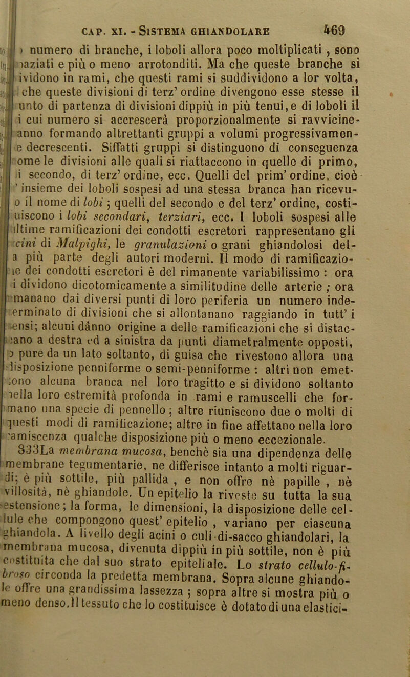 3 decrescenti. Siffatti gruppi si distinguono di conseguenza ome le divisioni alle quali si riattaccono in quelle di primo, i secondo, di terz’ordine, ecc. Quelli del prim’ordine, cioè ’ insieme dei loboli sospesi ad una stessa branca han ricevu- 0 il nome di lobi ; quelli del secondo e del terz’ ordine, costi- uiscono i lobi secondari^ terziari, ecc. I loboli sospesi alle iltiiue ramificazioni dei condotti escretori rappresentano gli :ctm di Malpighi, le granulazioni o grani ghiandolosi del- a più parte degli autori moderni. Il modo di ramificazio- le dei condotti escretori è del rimanente variabilissimo : ora i dividono dicotomicamente a similitudine delle arterie ; ora emanano dai diversi punti di loro periferia un numero inde- erminato di divisioni che si allontanano raggiando in tutt’ i lensi; alcuni danno origine a delle ramificazioni che si distac- ì.’ano a destra ed a sinistra da punti diametralmente opposti, 3 pure da un lato soltanto, di guisa che rivestono allora una ■lisposizione penniforme 0 semi-penniforme : altri non emet- ;ono alcuna branca nel loro tragitto e si dividono soltanto iella loro estremità profonda in rami e ramuscelli che for- mano (ina specie di pennello \ altre riuniscono due o molti di ■juesti modi di ramificazione; altre in fine affettano nella loro 'amiscenza qualche disposizione più o meno eccezionale. 833La membrana mucosa, benché sia una dipendenza delle membrane tegumentarie, ne differisce intanto a molti riguar- di; è piu sottile, più pallida , e non offre nè papille , nò villosità, nè ghiandole. Un epitelio la riveste su tutta la sua >estensione ; la forma, le dimensioni, la disposizione delle cel- lule che compongono quest’epitelio , variano per ciascuna gliiandola. A livello degli acini o culi di-sacco ghiandolari, la membrana mucosa, divenuta dippiù in più sottile, non è più Costituita die dal suo strato epiteliale. Lo strato cellulo-fi^ 6/0.50 circonda la predetta membrana. Sopra alcune ghiando- le offre una grandissima lassezza ; sopra altre si mostra più o meno denso.li tessuto che lo costituisce è dotato di una elastici-