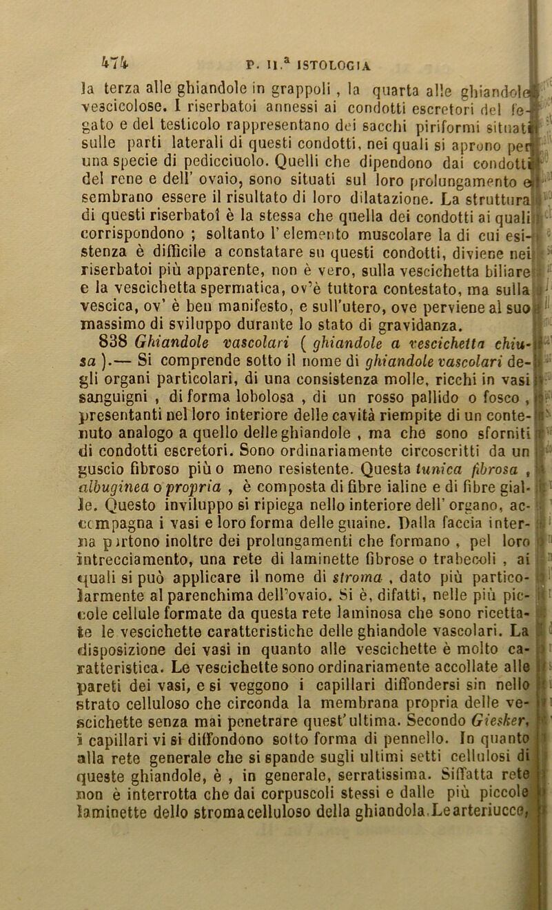 ]a terza alle ghiandole in grappoli , la quarta alle ghiandole vescicolose. I riserbatoi annessi ai condotti escretori del le- gato e del testicolo rappresentano dei sacelli piriformi situati sulle parti laterali di questi condotti, nei quali sì aprono ped una specie di pedicciuolo. Quelli che dipendono dai condotti del rene e dell’ ovaio, sono situati sul loro prolungamento sembrano essere il risultato di loro dilatazione. La strutturai di questi riserbatoi è la stessa che quella dei condotti ai quali! corrispondono ; soltanto l’elemento muscolare la di cui esi4 stenza è difficile a constatare su questi condotti, diviene nell riserbatoi più apparente, non è vero, sulla vescichetta biliarel e la vescichetta spermatica, ov’è tuttora contestato, ma sullal vescica, ov’ è ben manifesto, e sull’utero, ove perviene al suo] massimo di sviluppo durante lo stato di gravidanza. 838 Ghiandole vascolari ( ghiandole a vescichetta chiu- sa ).— Si comprende sotto il nome di ghiandole vascolari de- gli organi particolari, di una consistenza molle, ricchi in vasi] sanguigni , di forma lobolosa , di un rosso pallido o fosco , presentanti nel loro interiore delle cavità riempite di un conte-j liuto analogo a quello delle ghiandole , ma che sono sforniti| ili condotti escretori. Sono ordinariamente circoscritti da un guscio fibroso piùo meno resistente. Questa tunica fibrosa , albuginea o pro2)ria , è composta di fibre ialine e di fibre gial- le. Questo inviluppo si ripiega nello interiore dell’organo, ac- etmpagna i vasi e loro forma delle guaine. Dalla faccia inter- jia pirtono inoltre dei prolungamenti che formano , pel loro intrecciamento, una rete di laminette fibrose o trabeooli , ai «{uali si può applicare il nome di stroma , dato più partico- larmente al parenchima deirovaio. Si è, difatti, nelle più pic- cole cellule formate da questa rete laminosa che sono ricetta- te le vescichette caratteristiche delle ghiandole vascolari. La disposizione dei vasi in quanto alle vescichette è molto ca-J ratteristica. Le vescichette sono ordinariamente accollate allèj pareti dei vasi, e si veggono i capillari diffondersi sin nelliy strato celluloso che circonda la membrana propria delle ve: scichette senza mai penetrare quest’ultima. Secondo Giesker,^ ì capillari vi si diffondono solto forma di pennello. In quantoj alla rete generale che sì spande sugli ultimi setti cellulosi di queste ghiandole, è , in generale, serratissima. Siffatta ret^ non è interrotta che dai corpuscoli stessi e dalle più piccole] laminette dello stroma celluloso della ghiandola.Learteriuccef